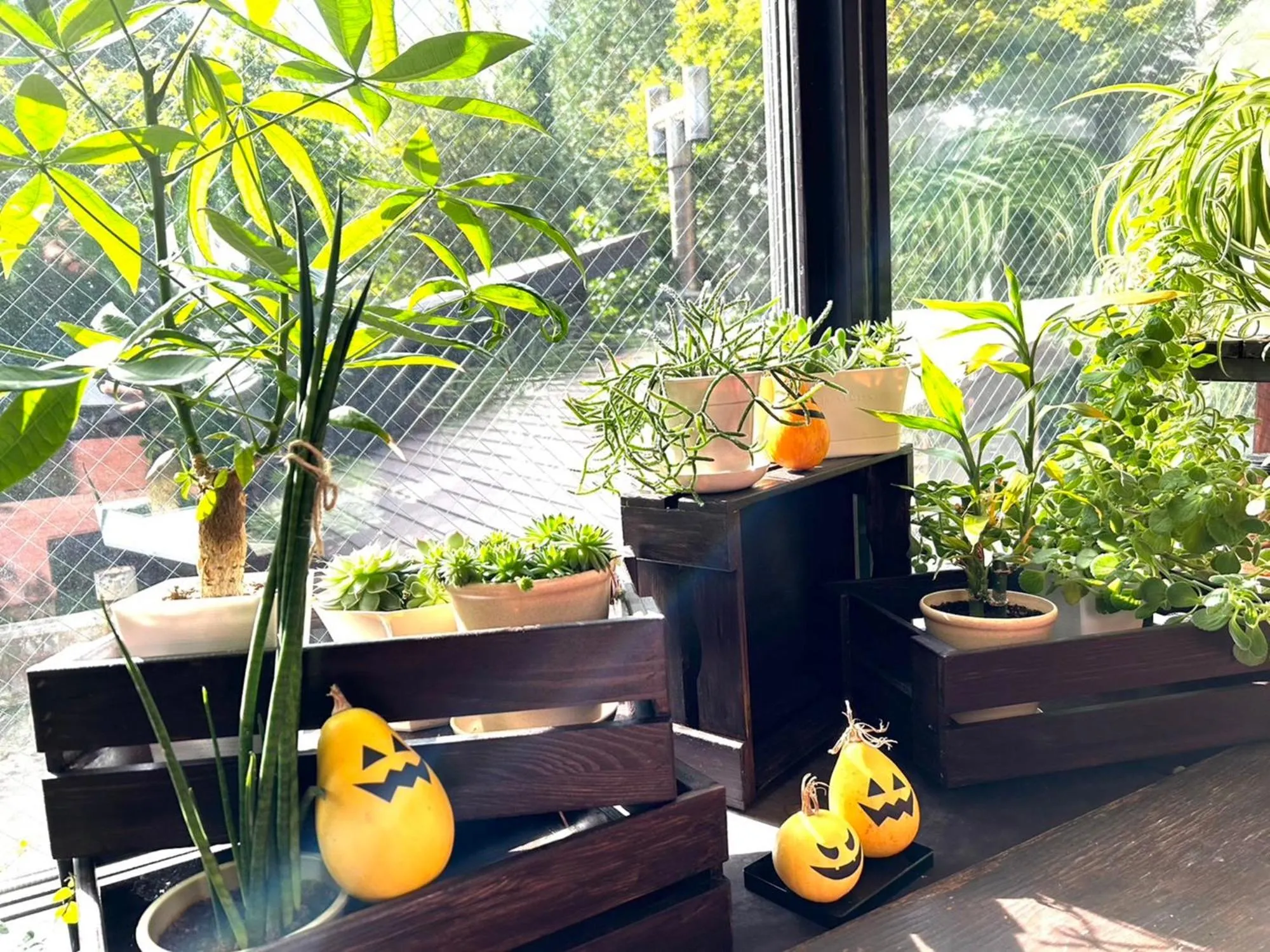 Autumn in Appikogen Mori no Hotel