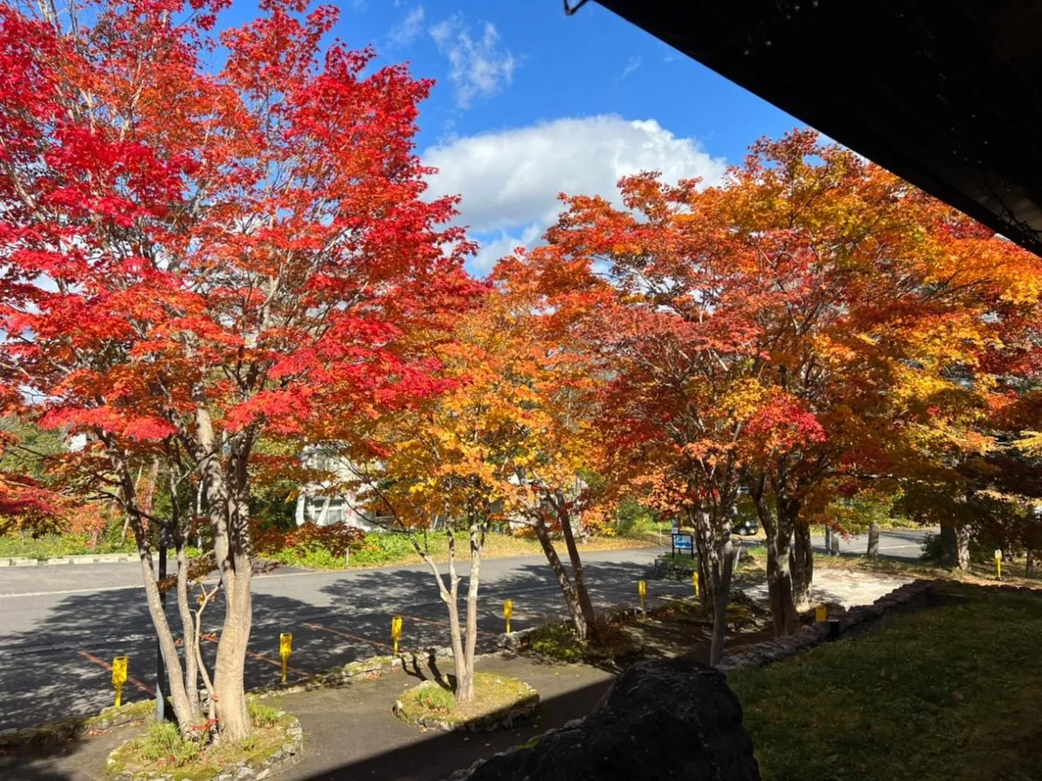Natural landscape in Appikogen Mori no Hotel