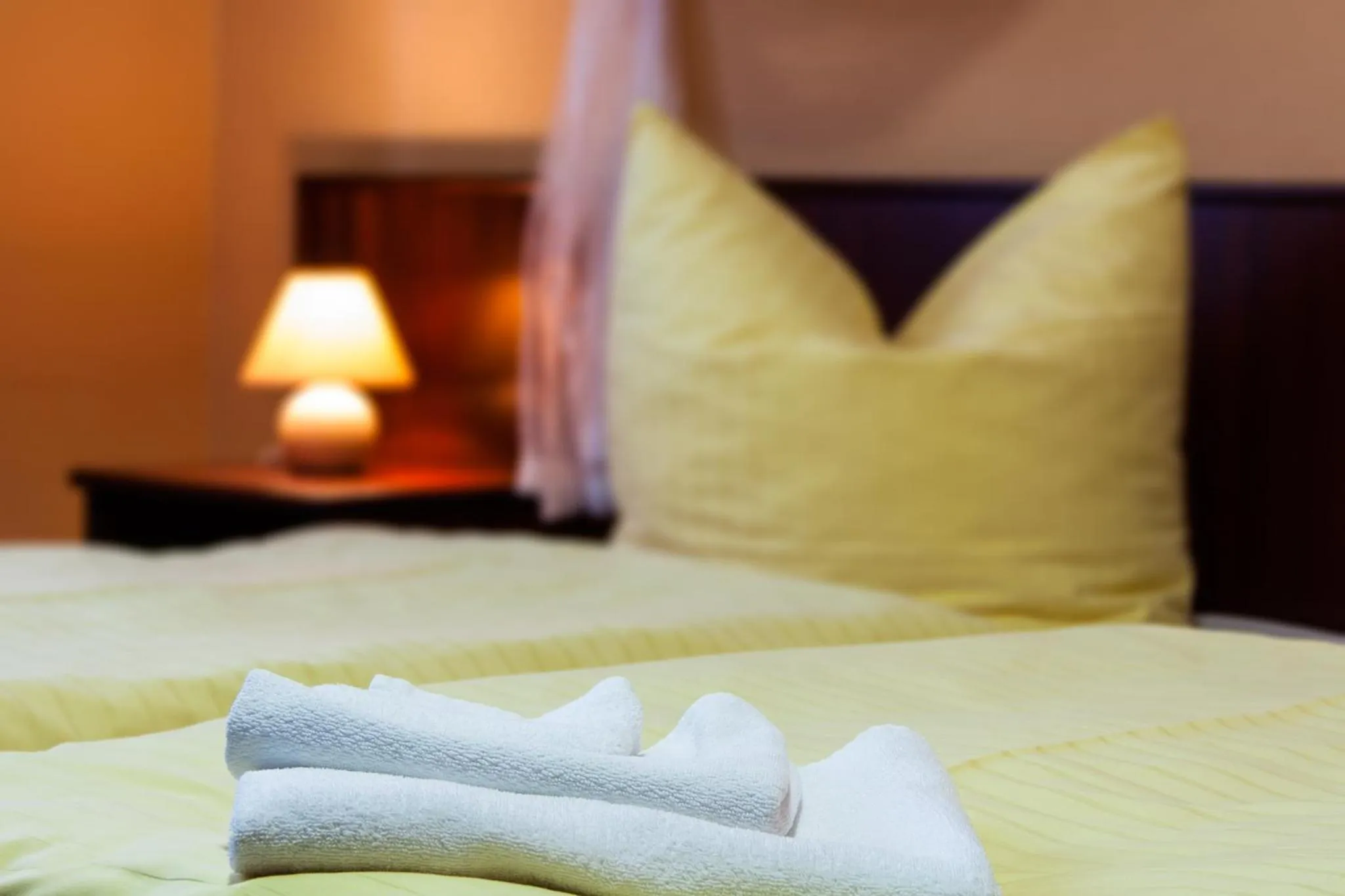 Bed in Landhotel Alt-Jocketa