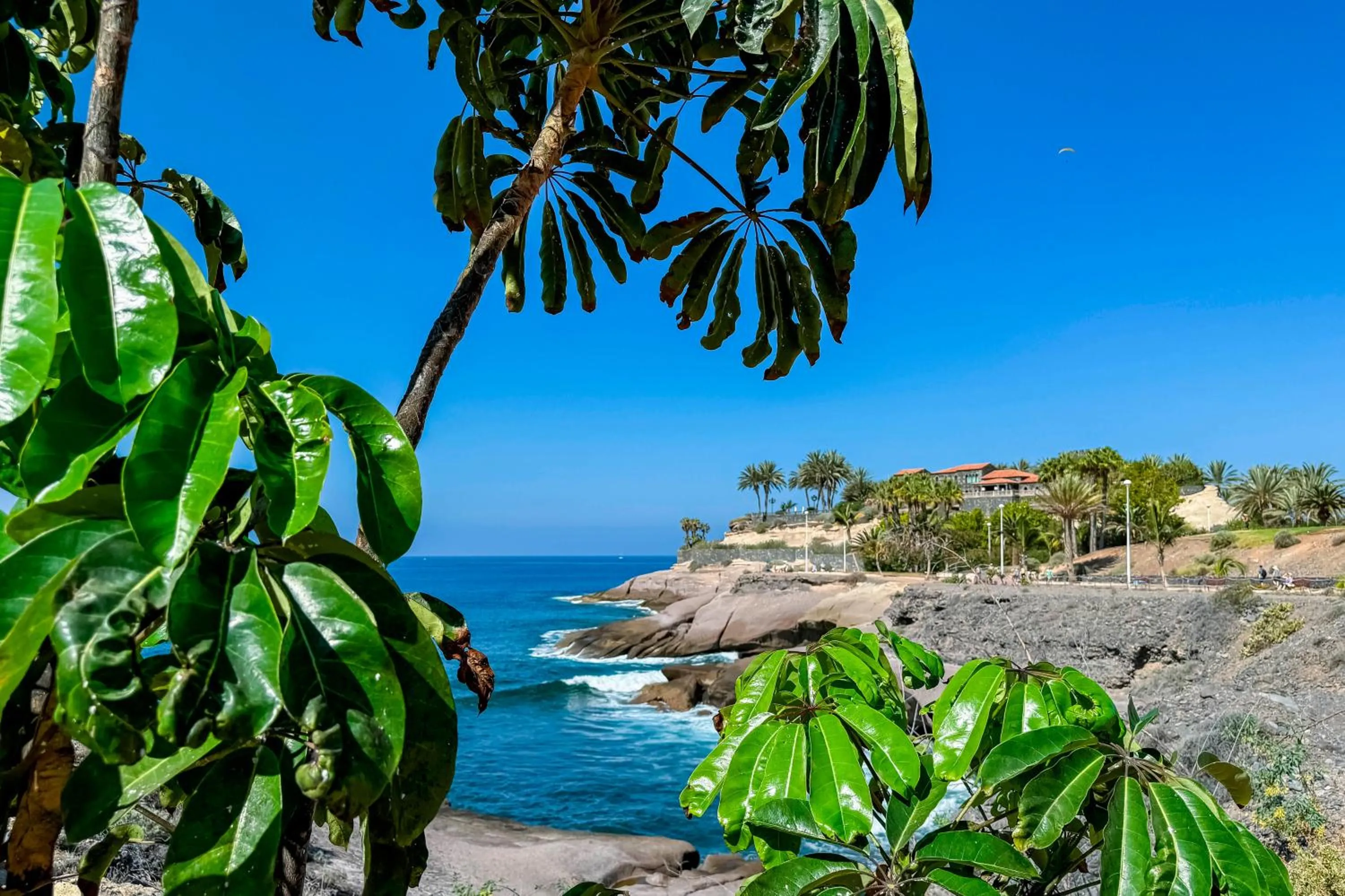 Other in Apartamentos Parque del Sol