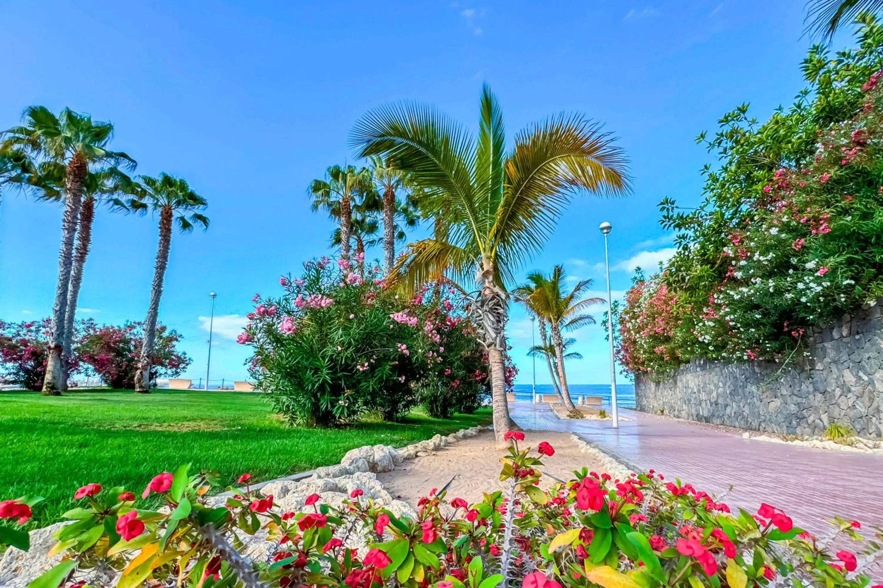 Other in Apartamentos Parque del Sol