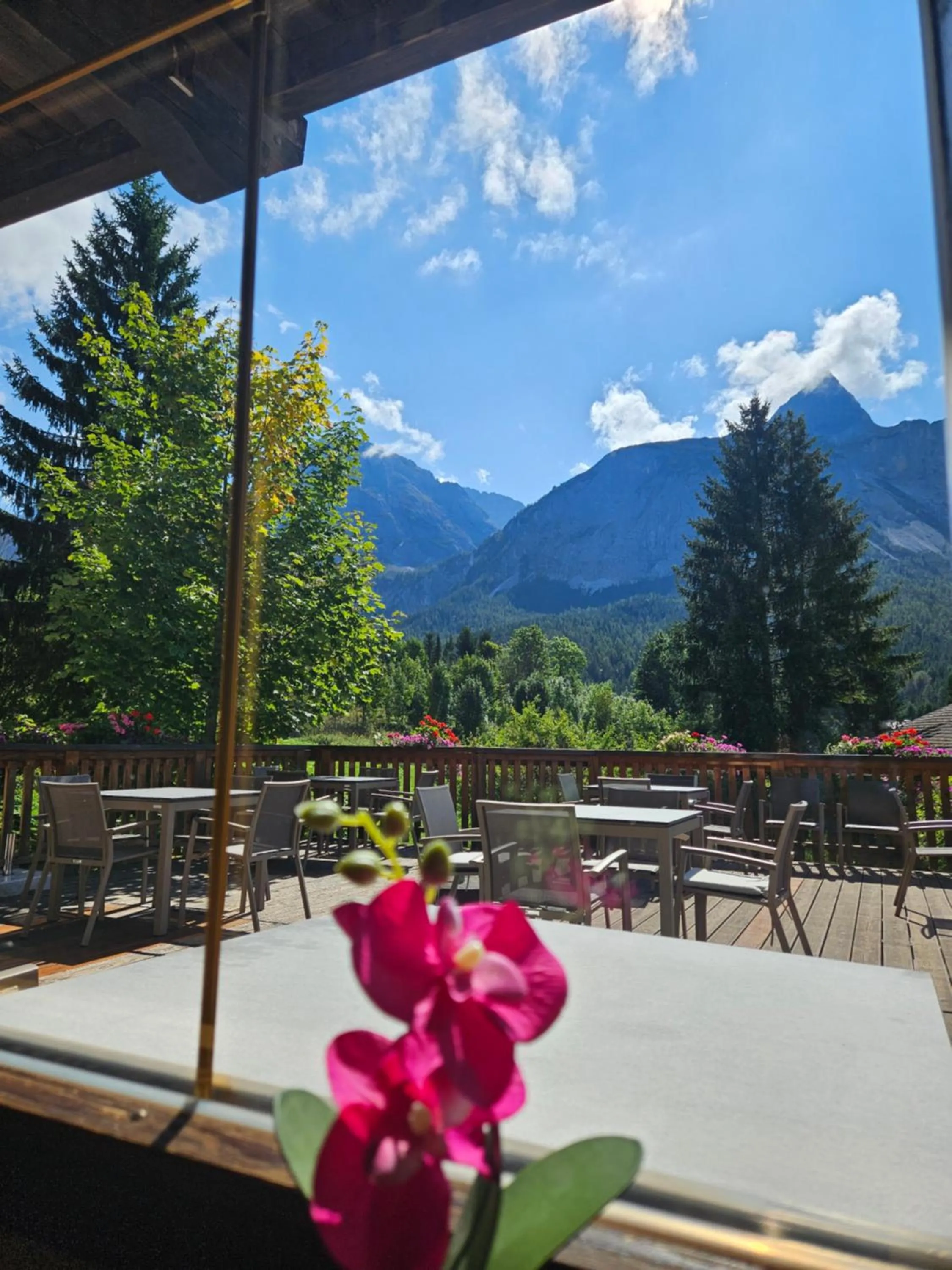 View (from property/room) in Sonnenburg Hotel