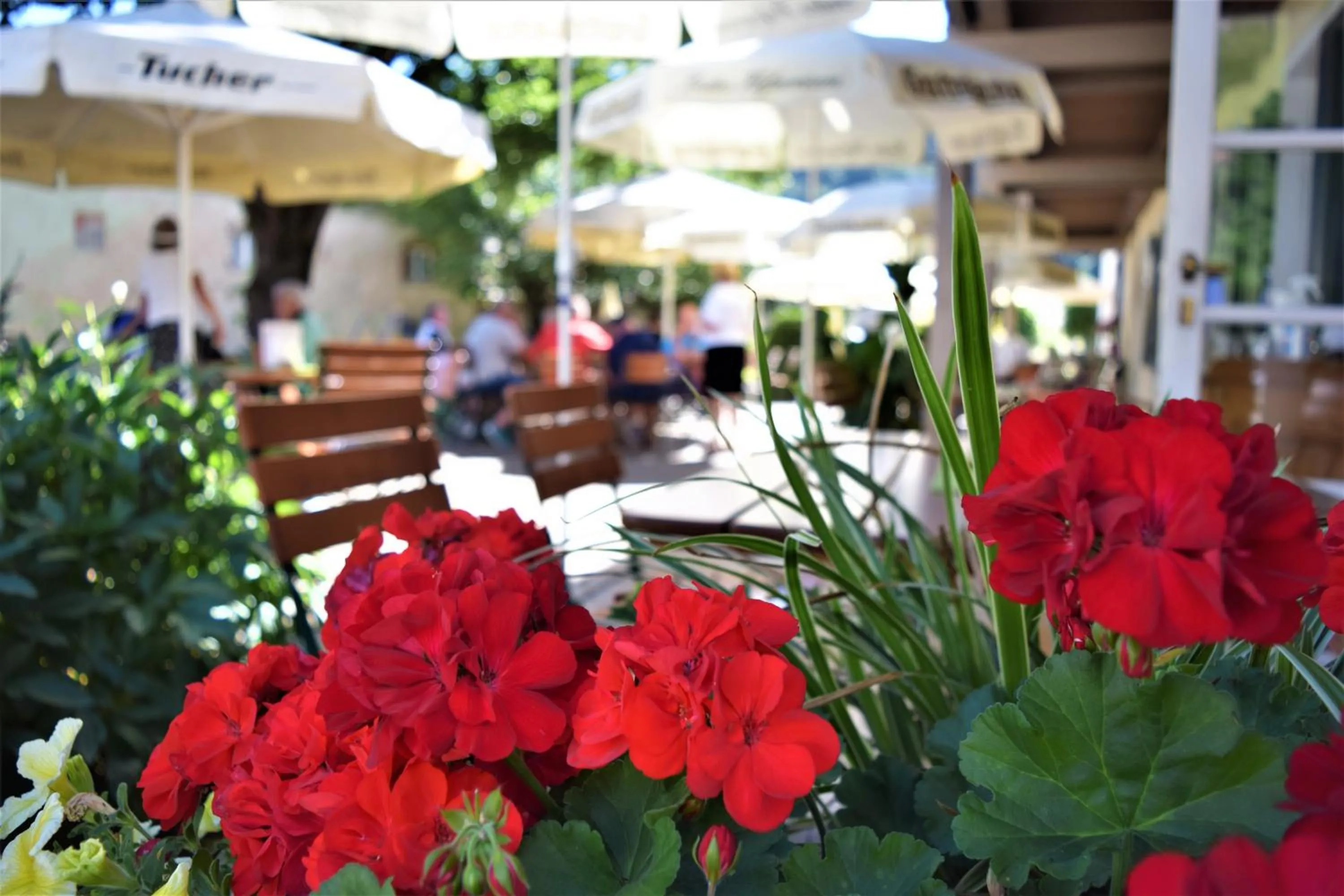 Restaurant/places to eat in Hotel zum Bräu