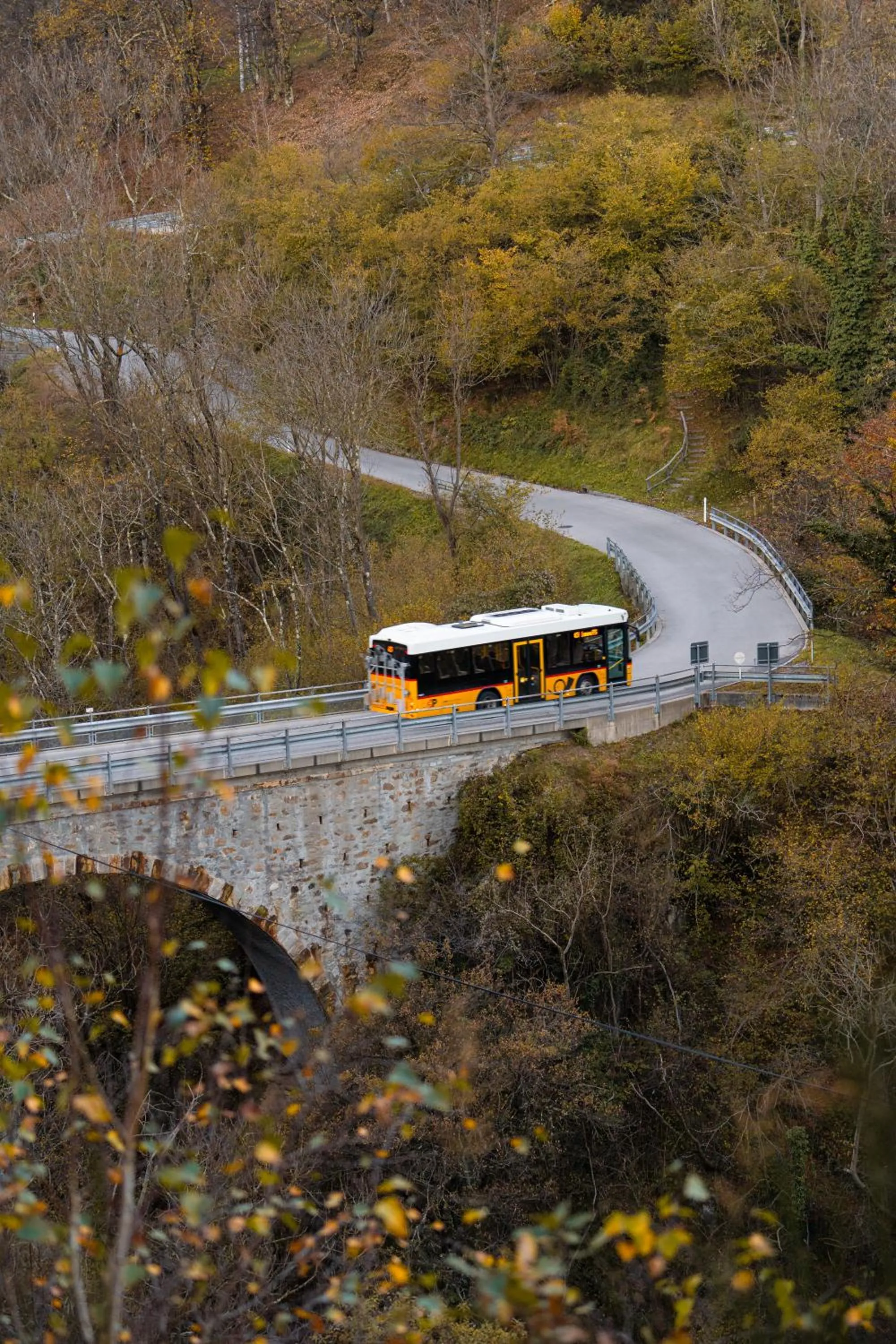 Natural landscape in Hotel Il Castagno