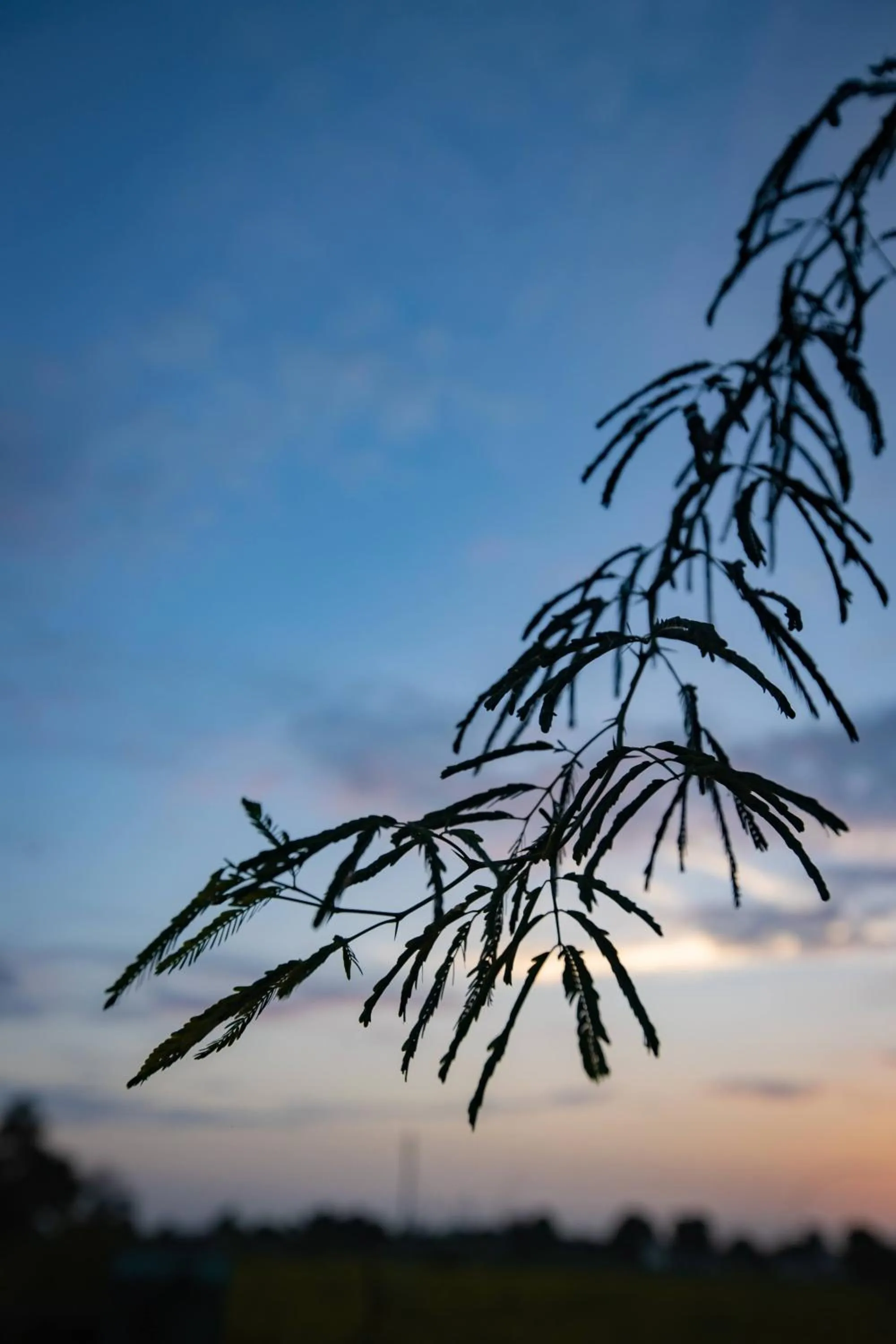 Natural landscape in Nature Village Resort