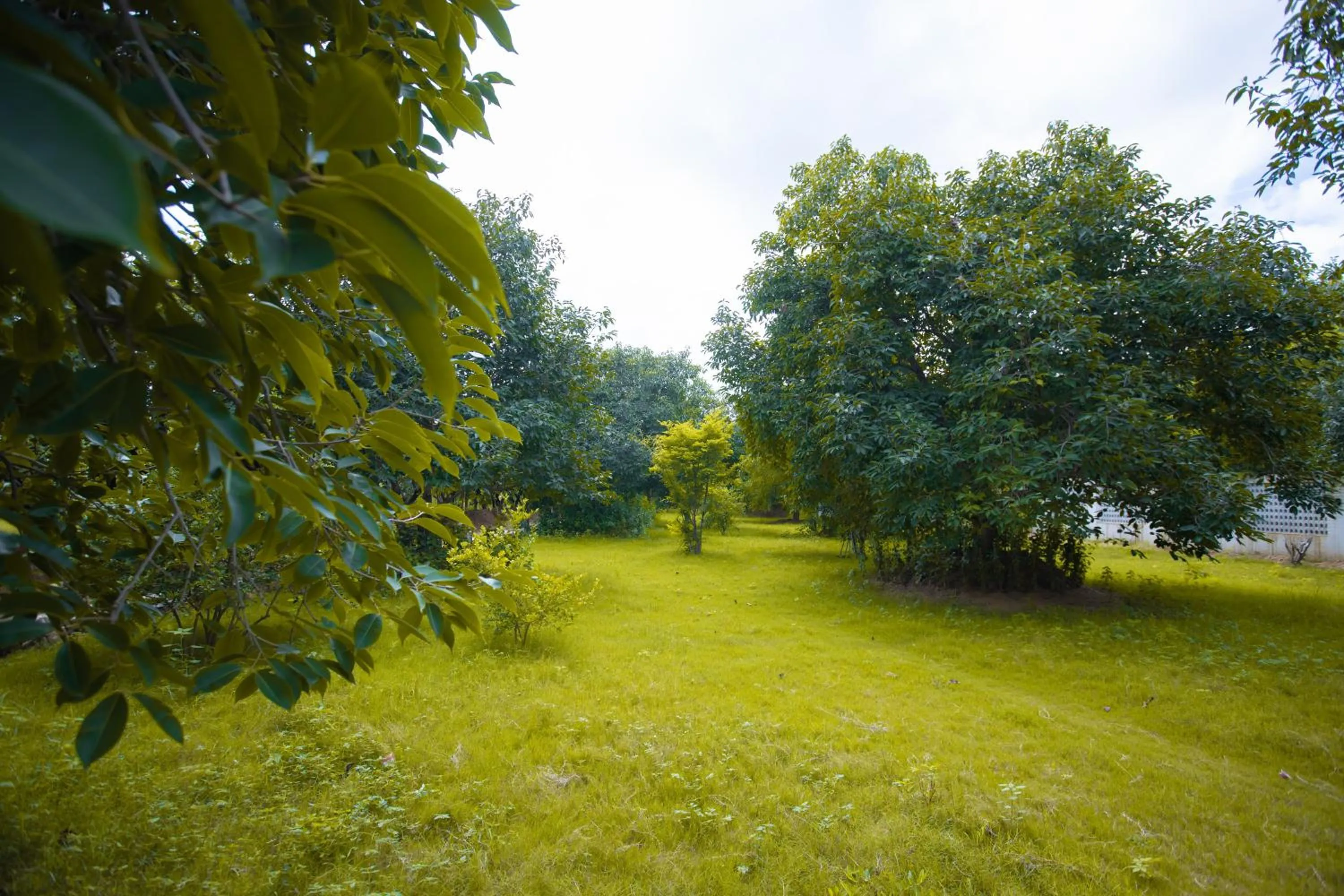 Garden in Nature Village Resort