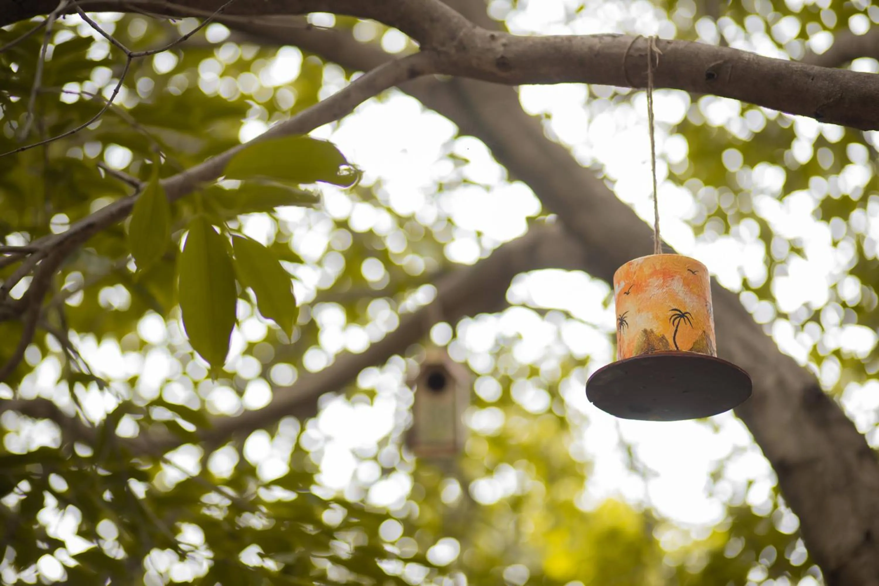 Animals in Nature Village Resort