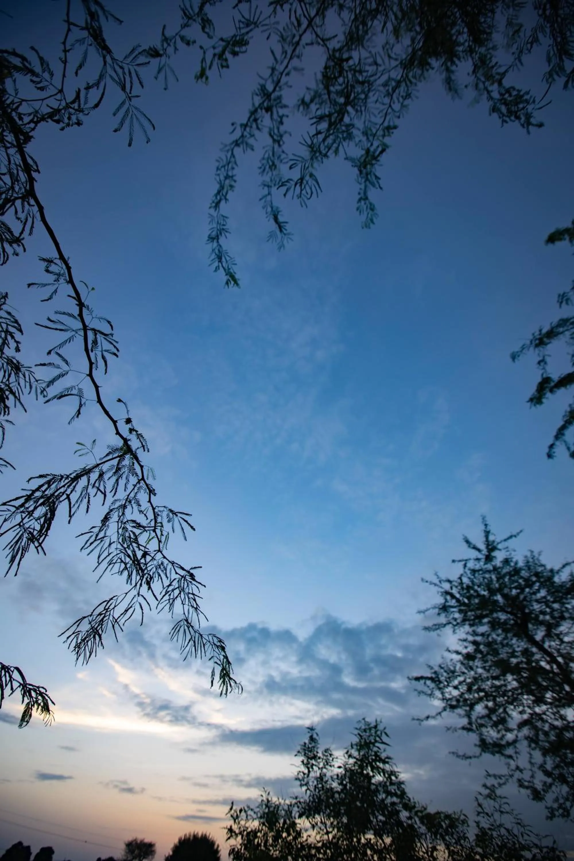 Natural landscape in Nature Village Resort