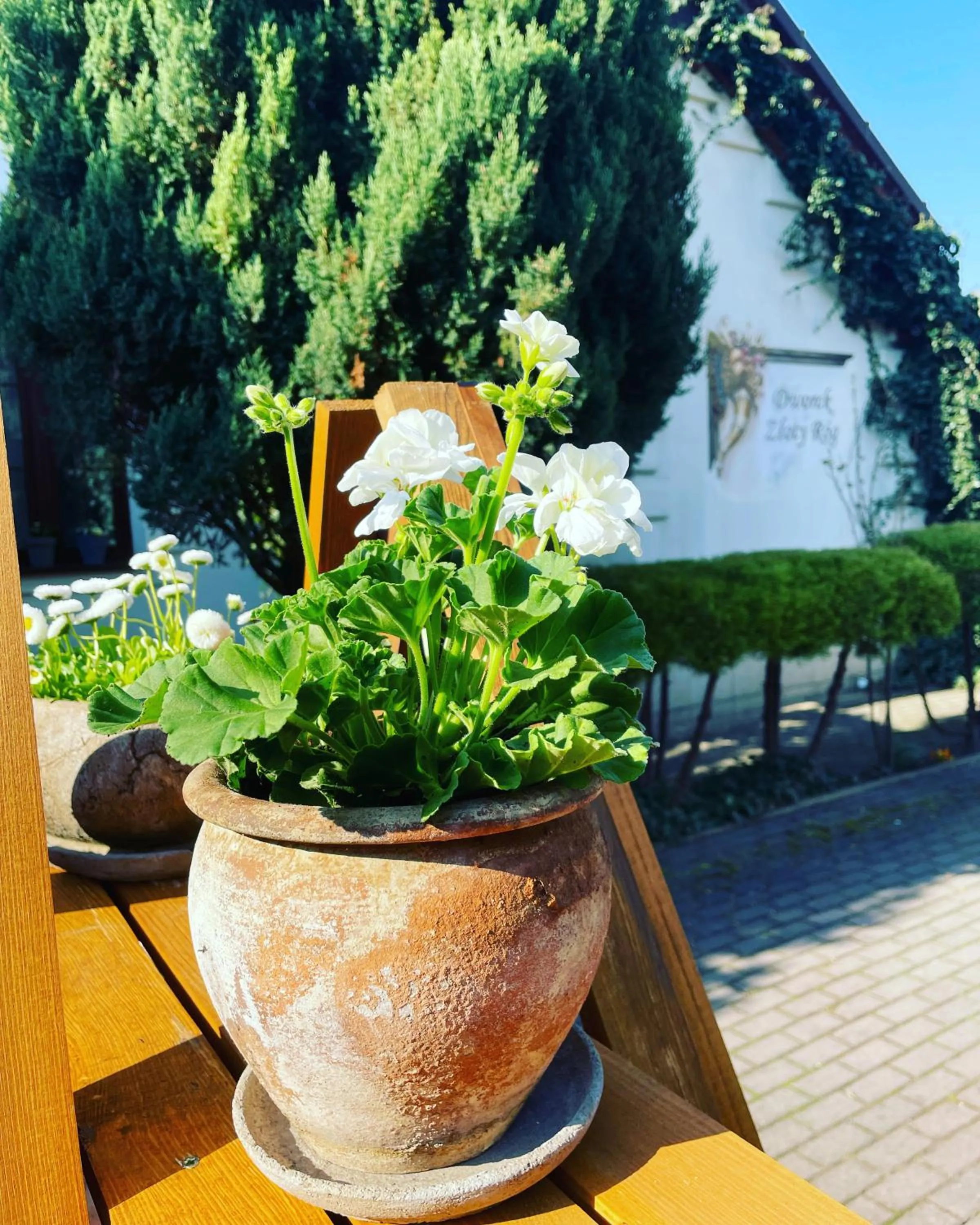 Garden in Dworek Złoty Róg Hotel i Restauracja