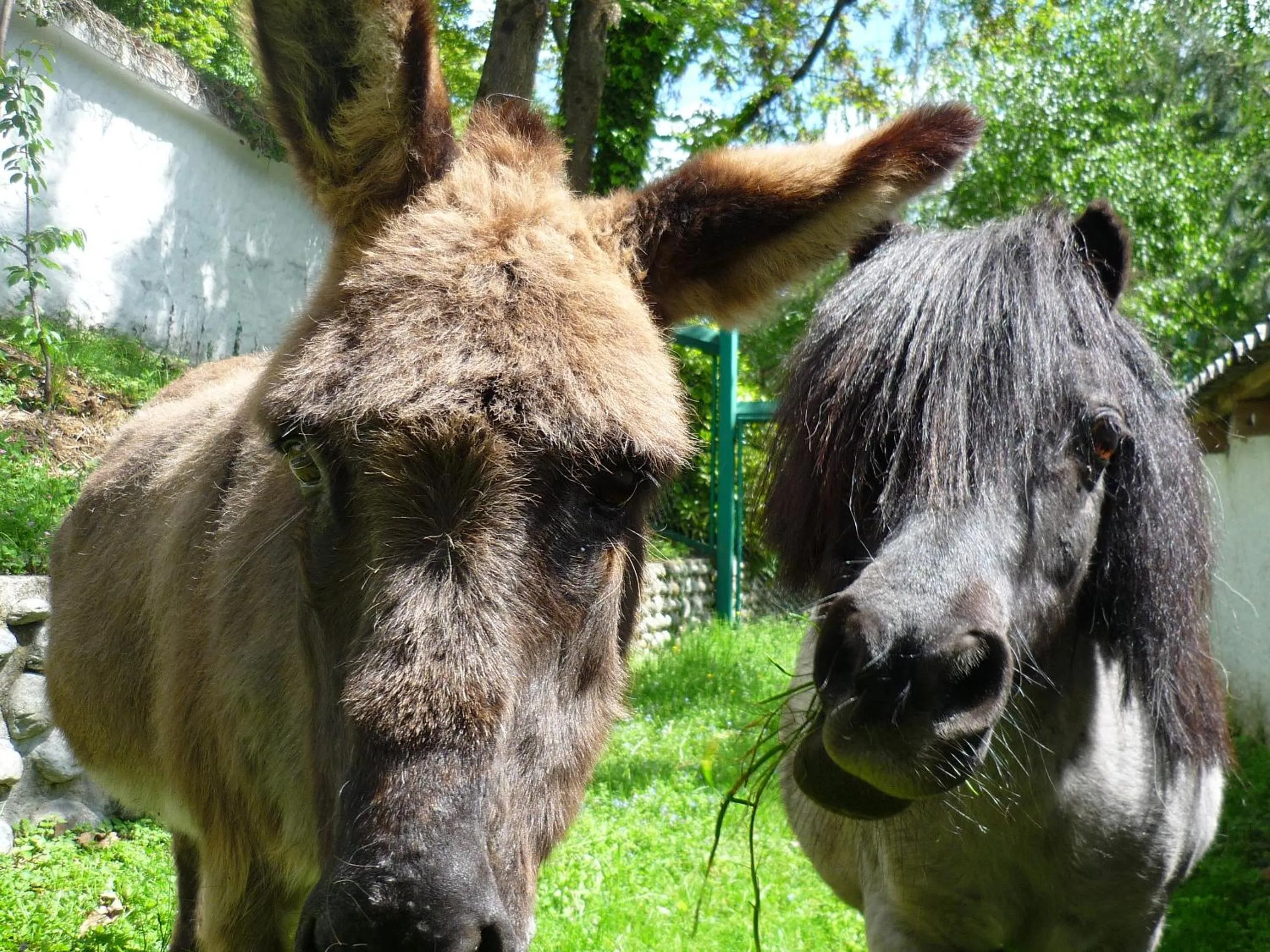 Day in Albergo Losone