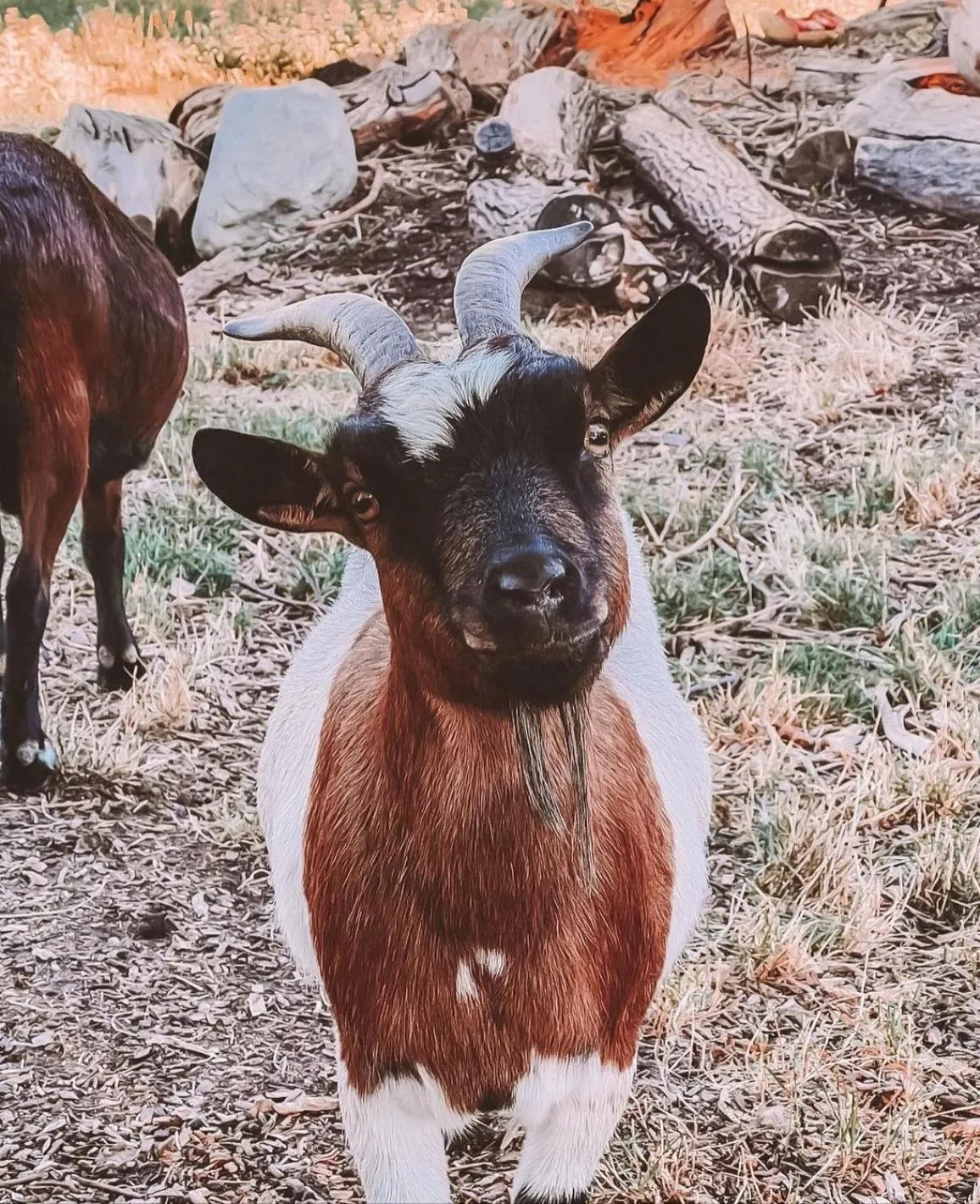 Kids's club in Albergo Losone