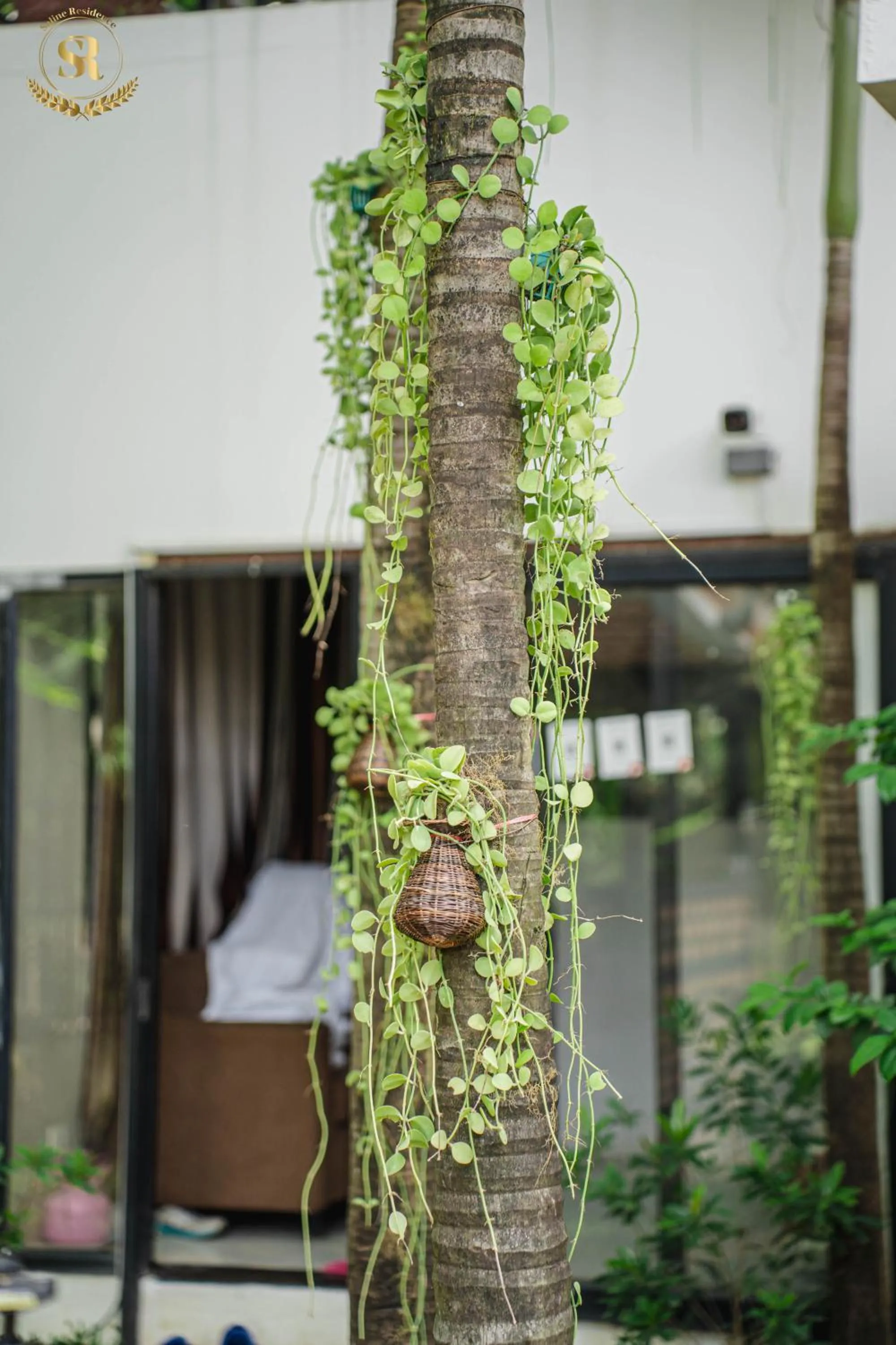 Garden view in Saline Residence