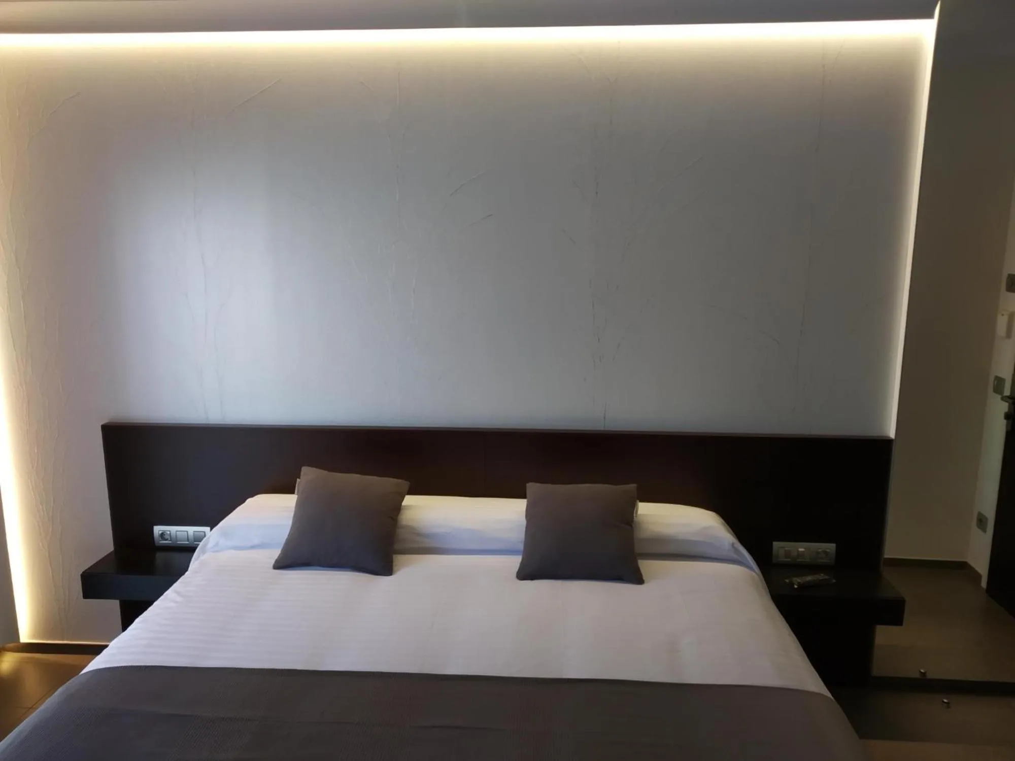Bed in Hotel Olot Centre