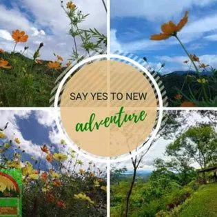 Raw Camping at Camping Paradise Singalong Mountain Garden