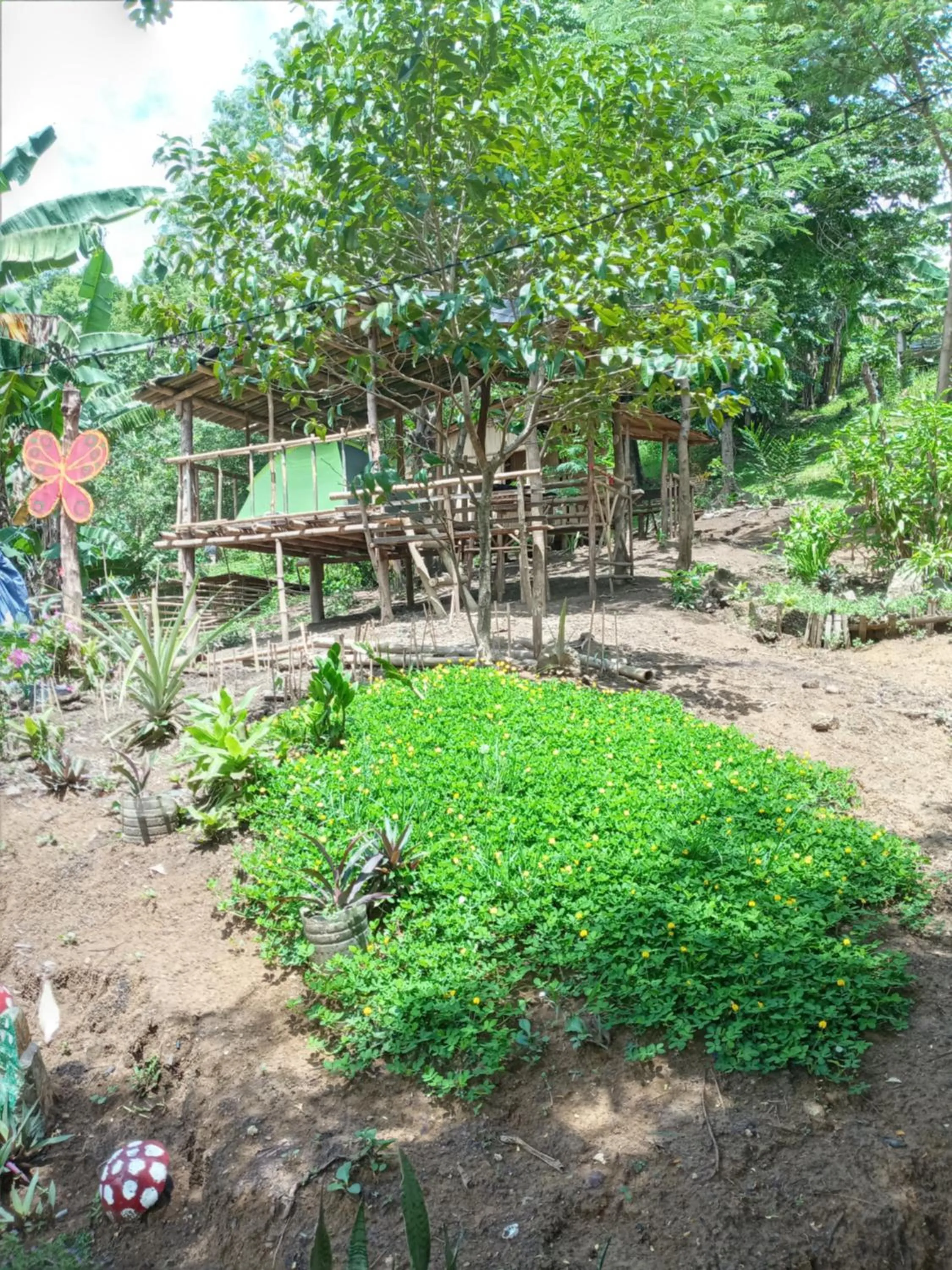 Raw Camping at Camping Paradise Singalong Mountain Garden