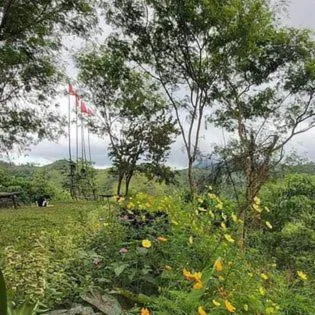 Raw Camping at Camping Paradise Singalong Mountain Garden