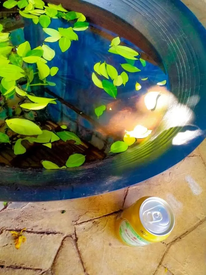 Raw Camping at Camping Paradise Singalong Mountain Garden