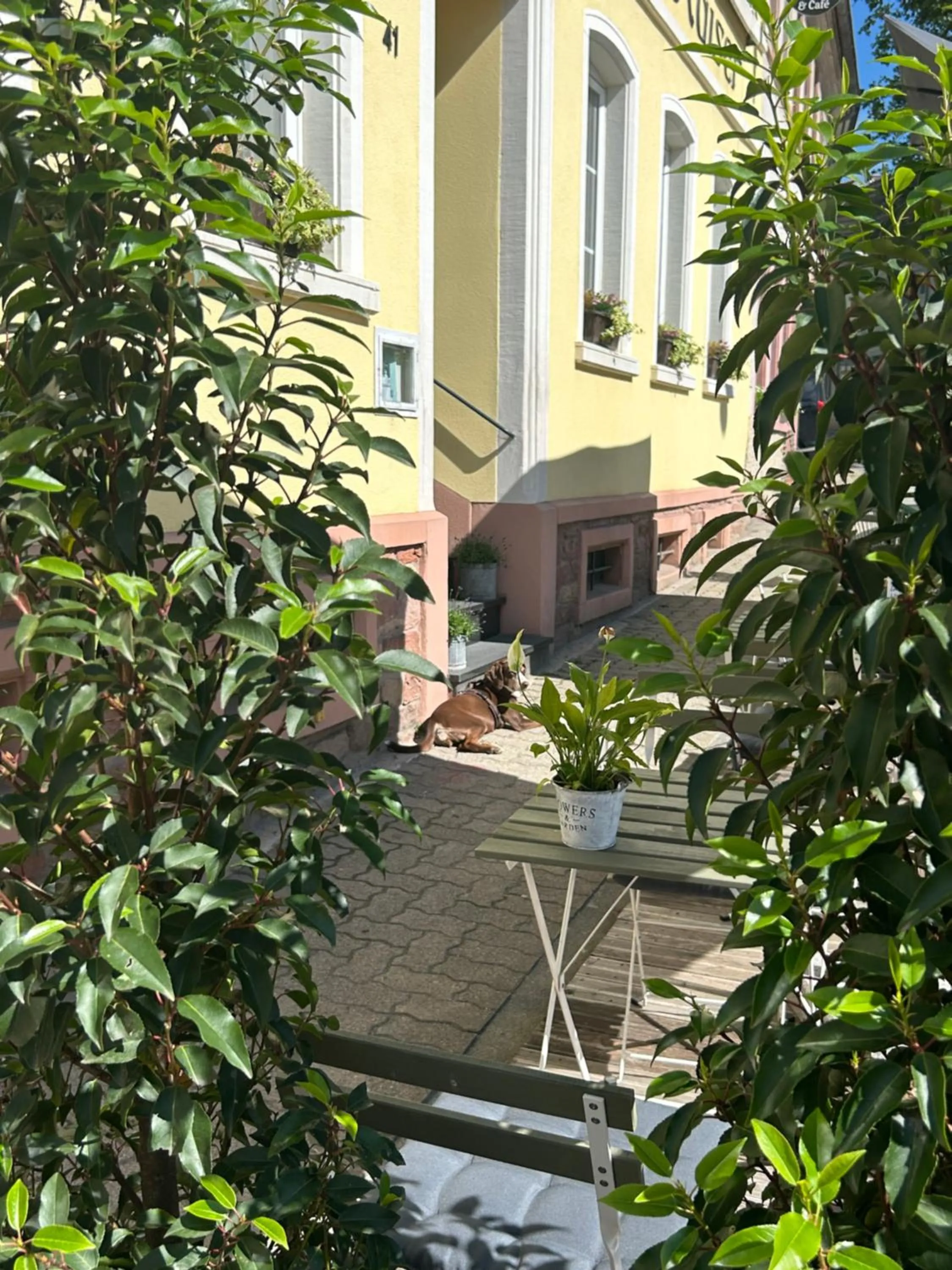 Facade/entrance in DK Hotel Heidelberg