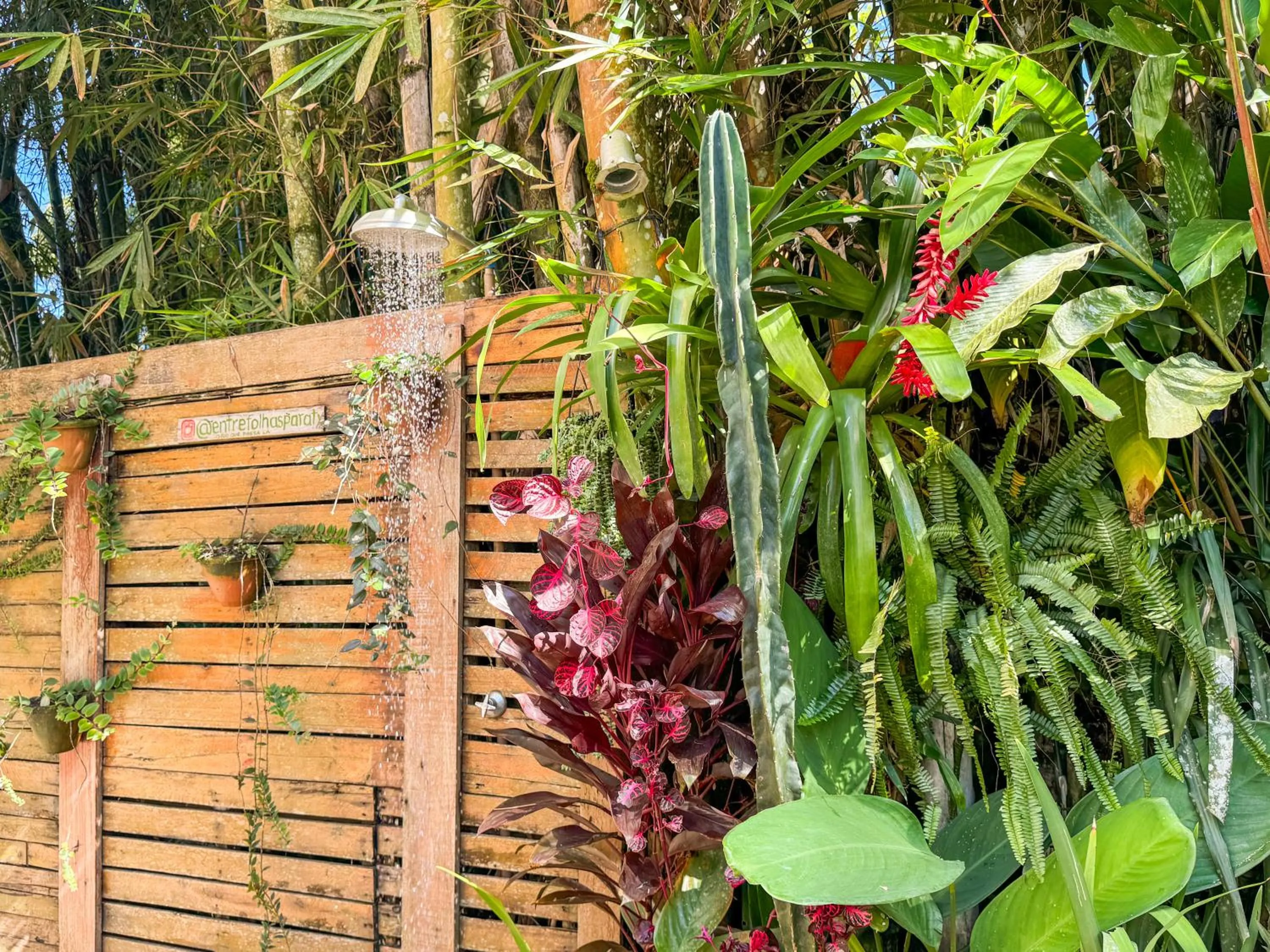 Decorative detail in Pousada Entre Folhas