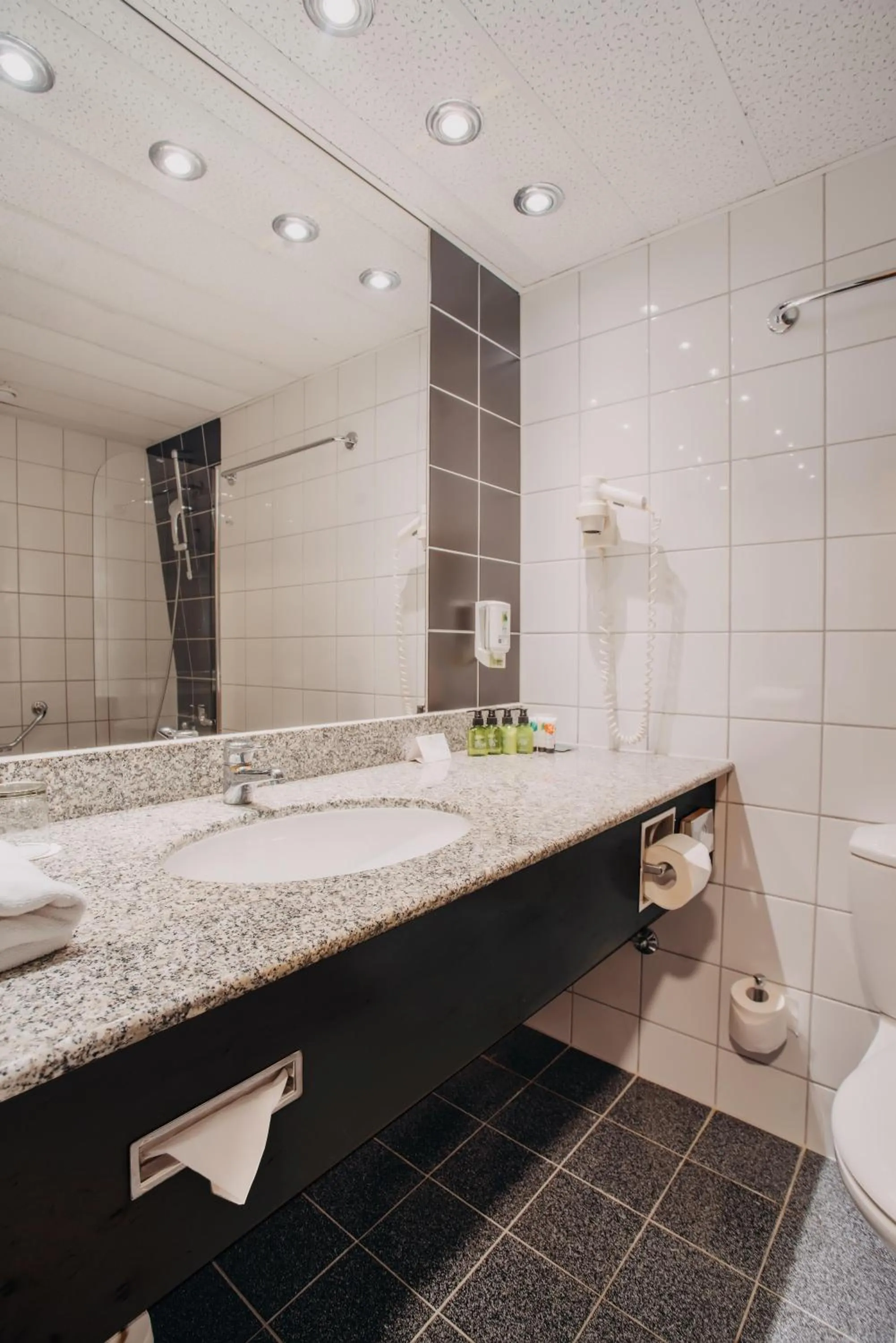 Toilet in Don Giovanni Hotel Prague - Great Hotels of The World