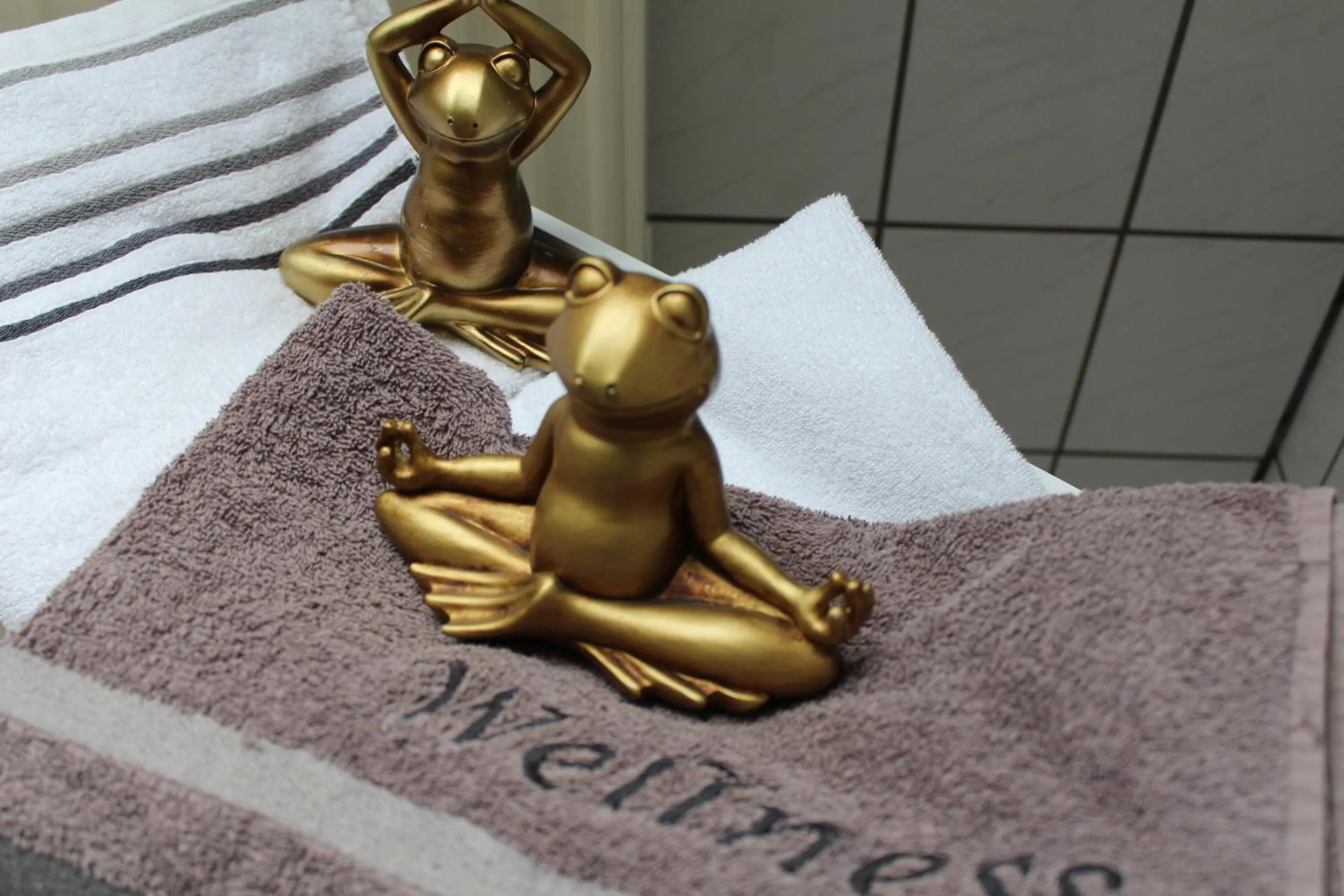 Massage in Schwiizeralp Hotel & Restaurant