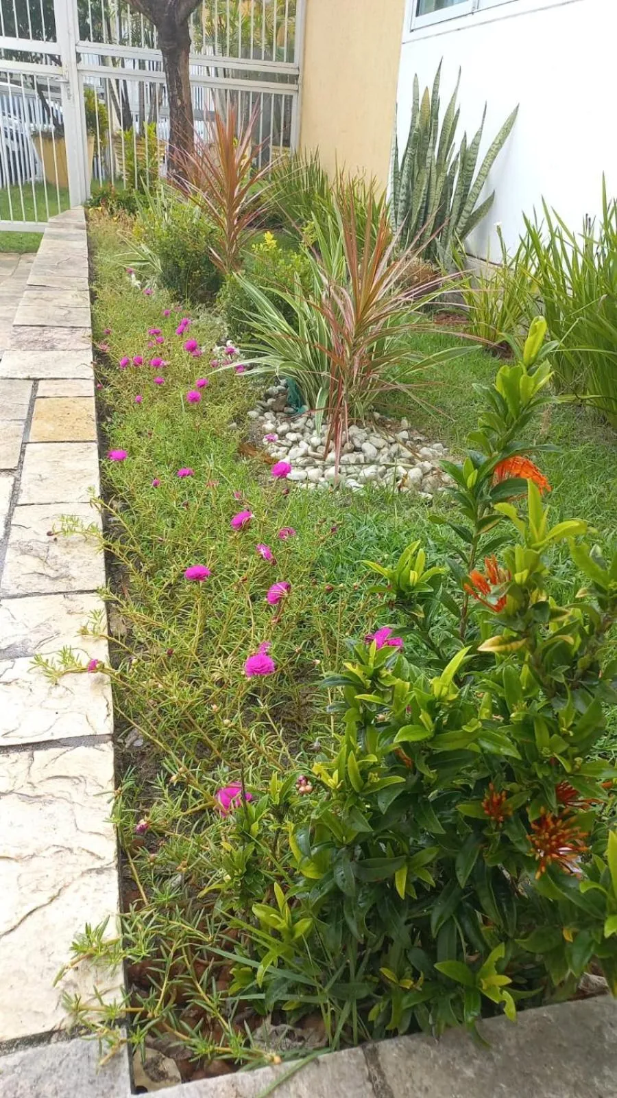 Garden in Pousada Água Viva