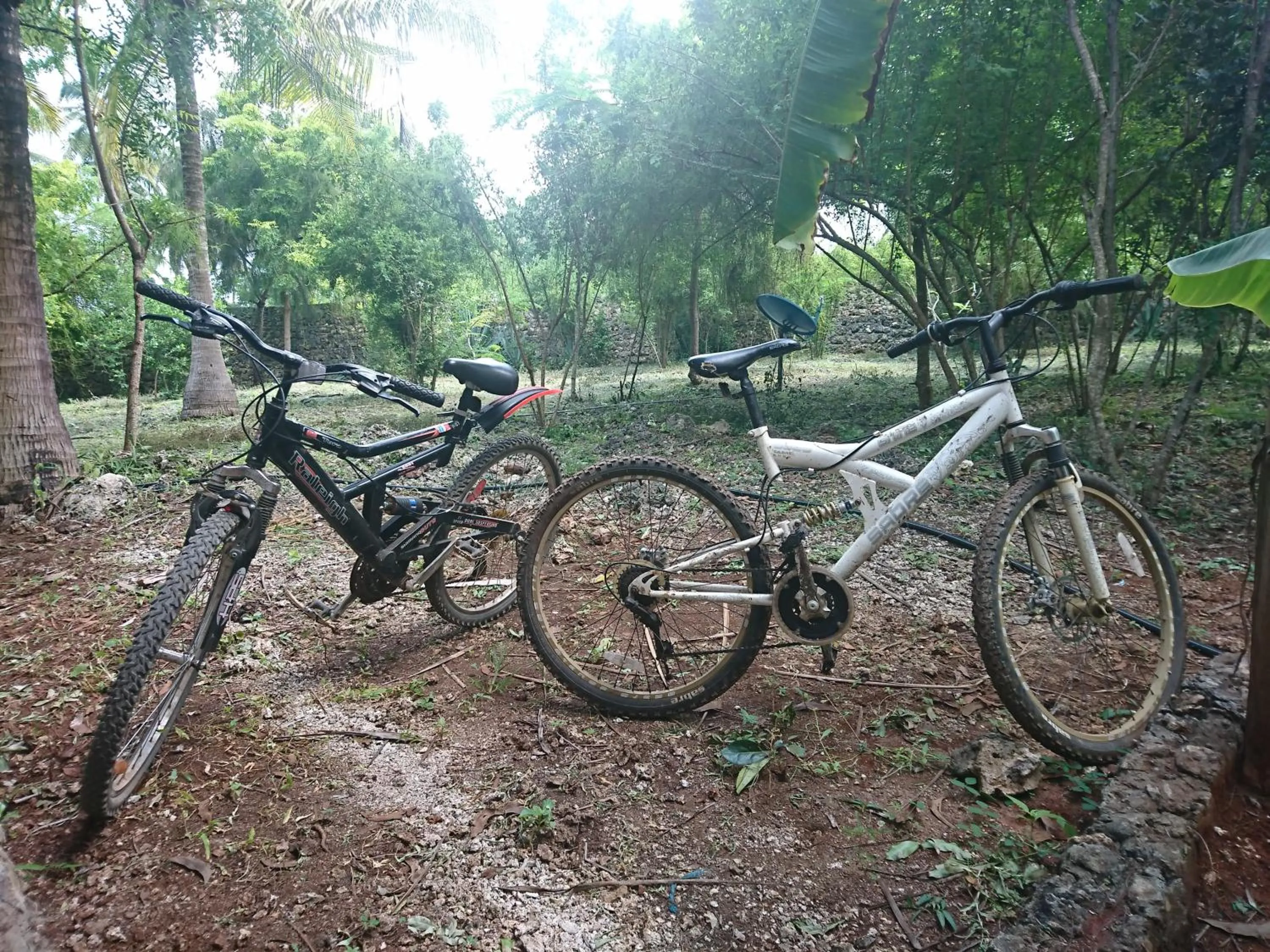 Cycling in COCO REEF ECOLODGE