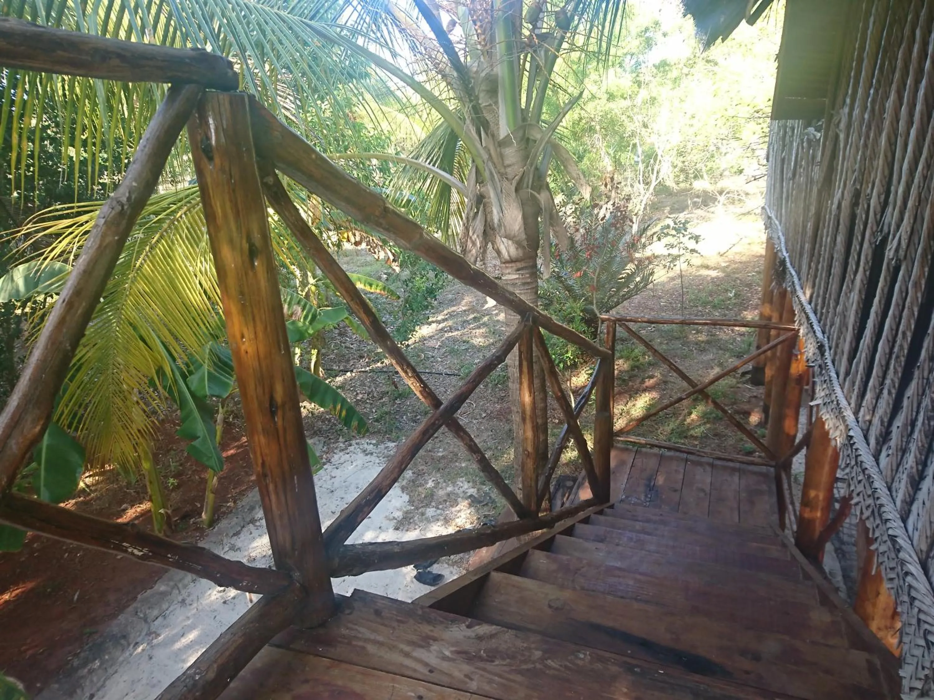 Garden in COCO REEF ECOLODGE