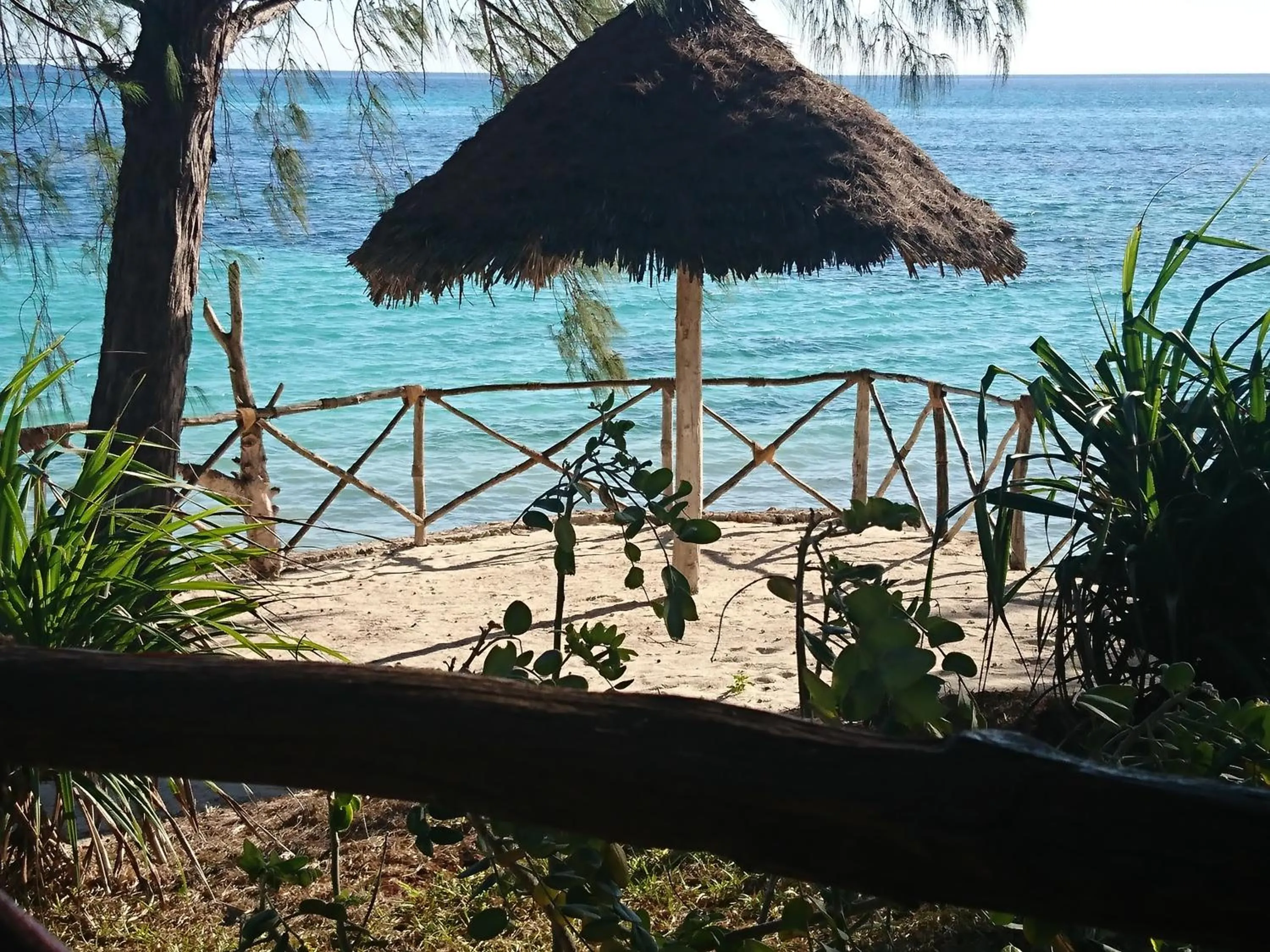 Property building in COCO REEF ECOLODGE