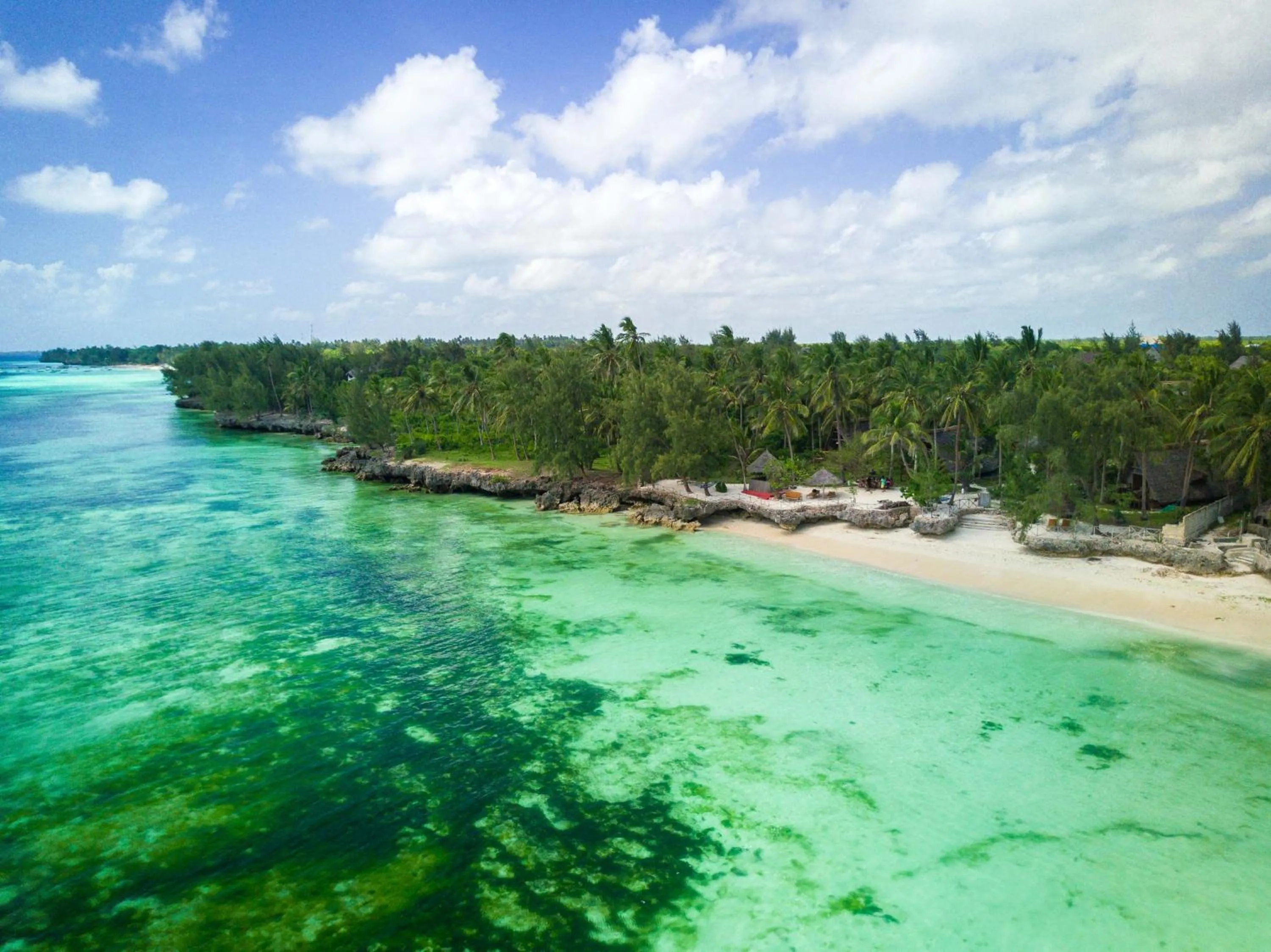 Natural landscape in COCO REEF ECOLODGE