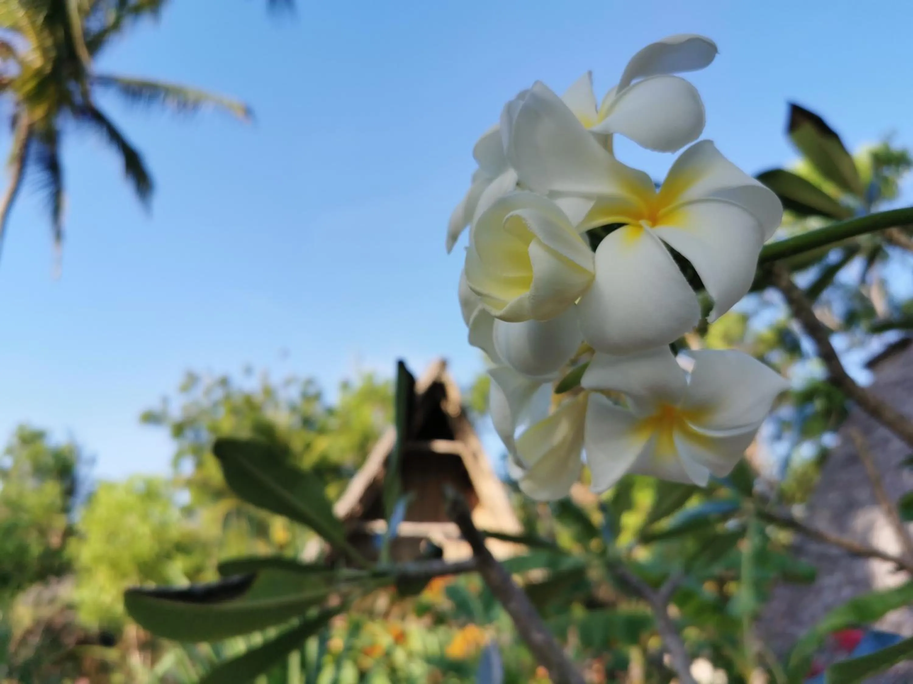 COCO REEF ECOLODGE