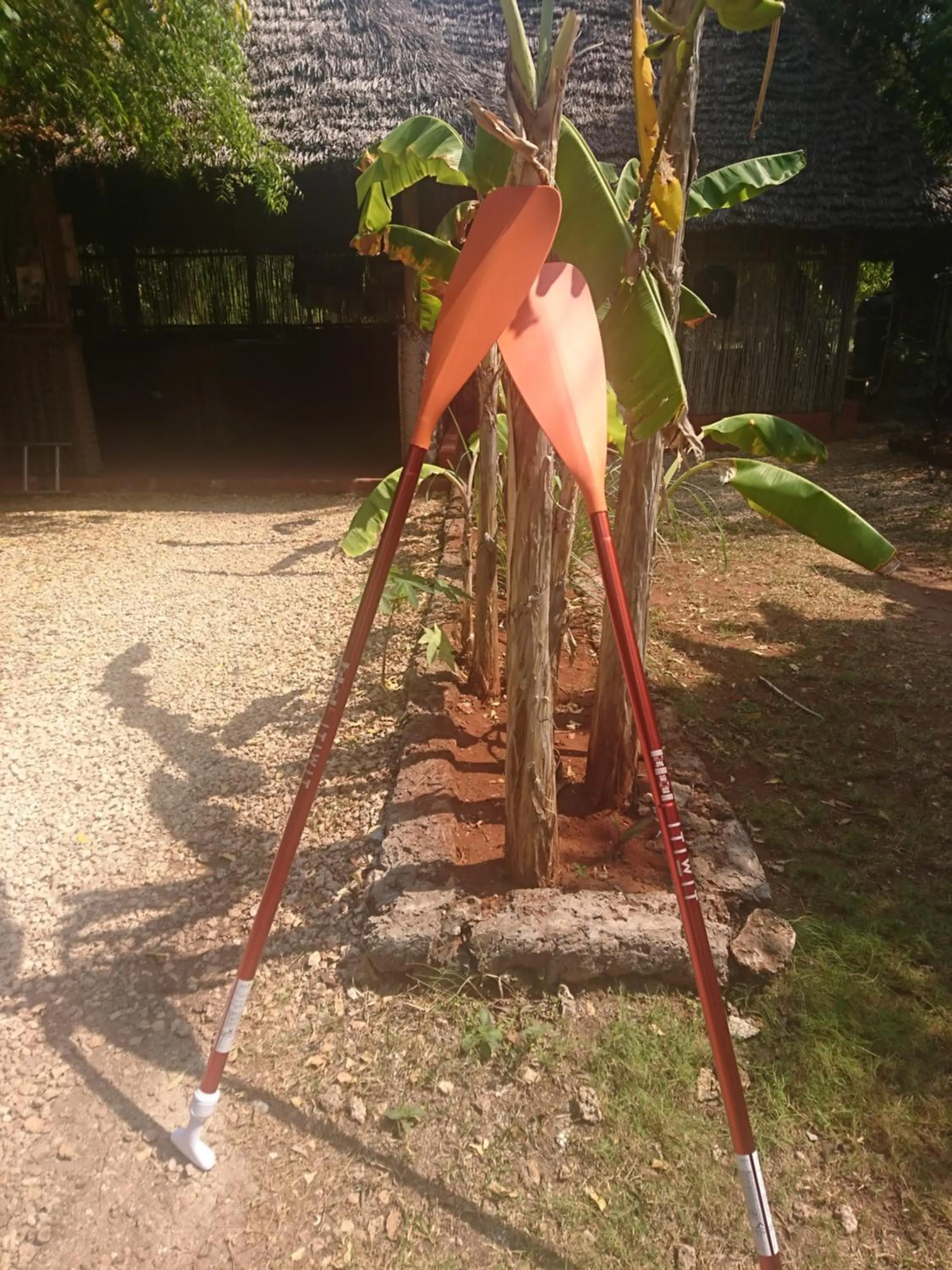 Day in COCO REEF ECOLODGE