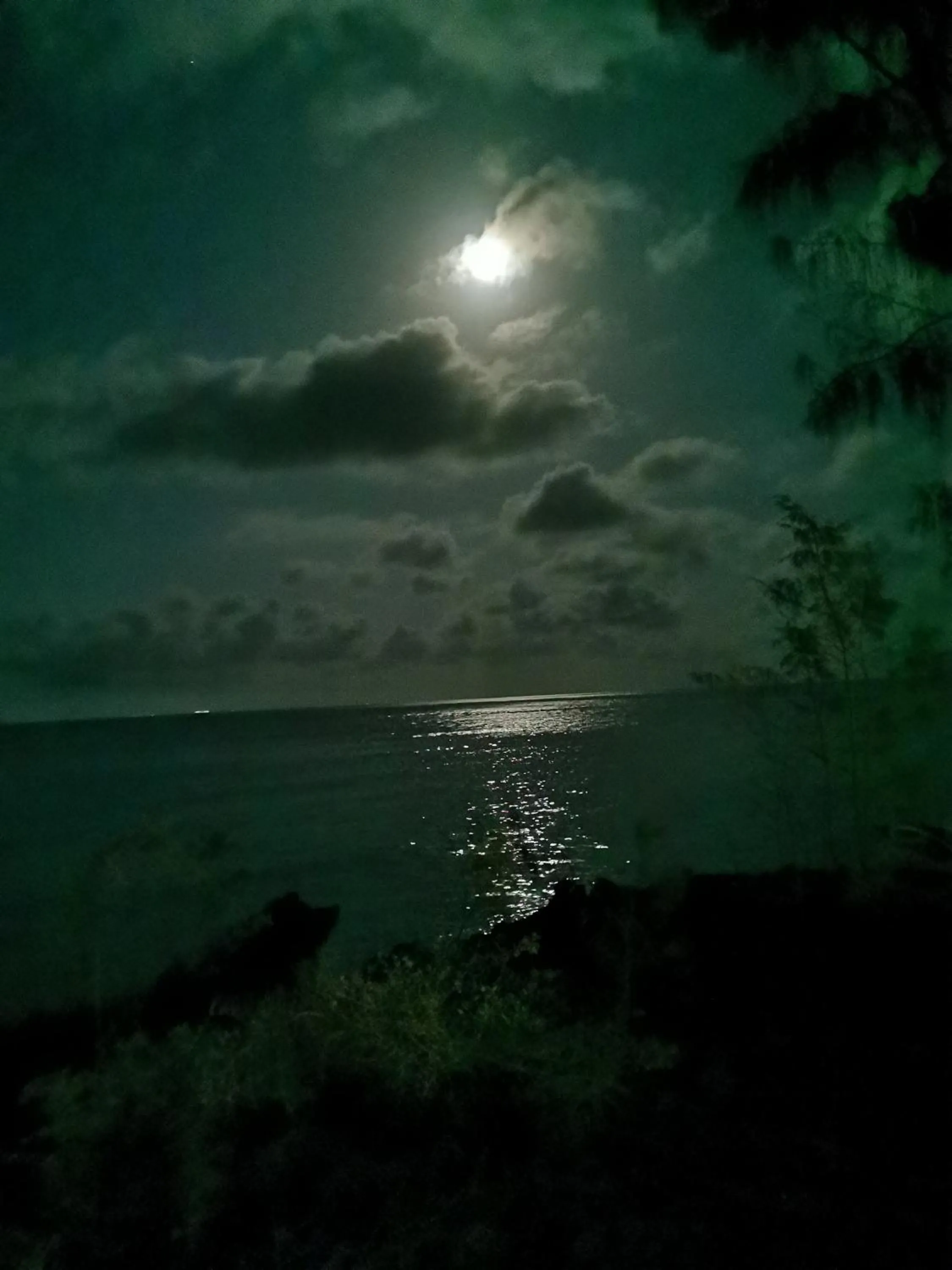 COCO REEF ECOLODGE