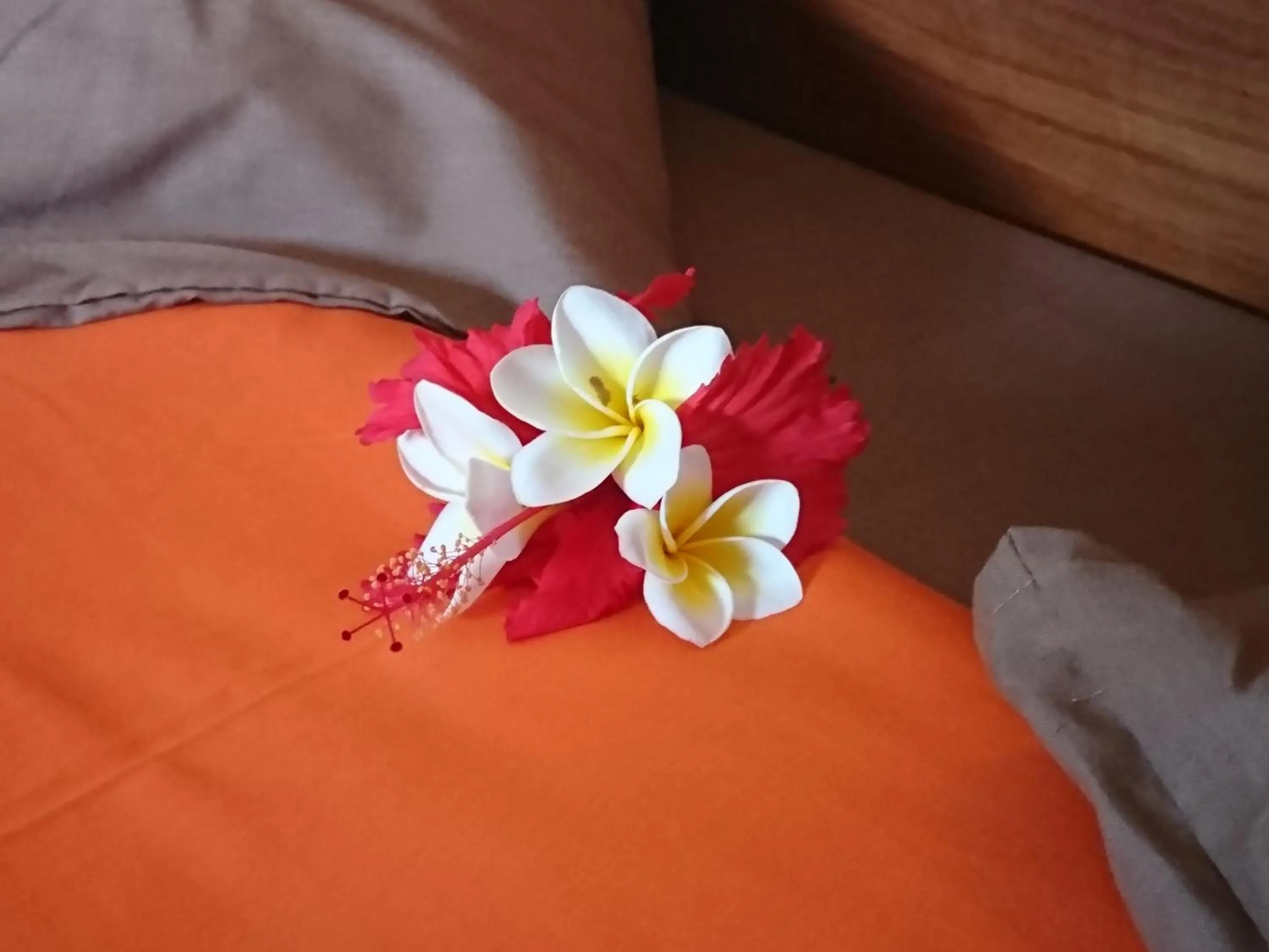 Decorative detail, Bed in COCO REEF ECOLODGE