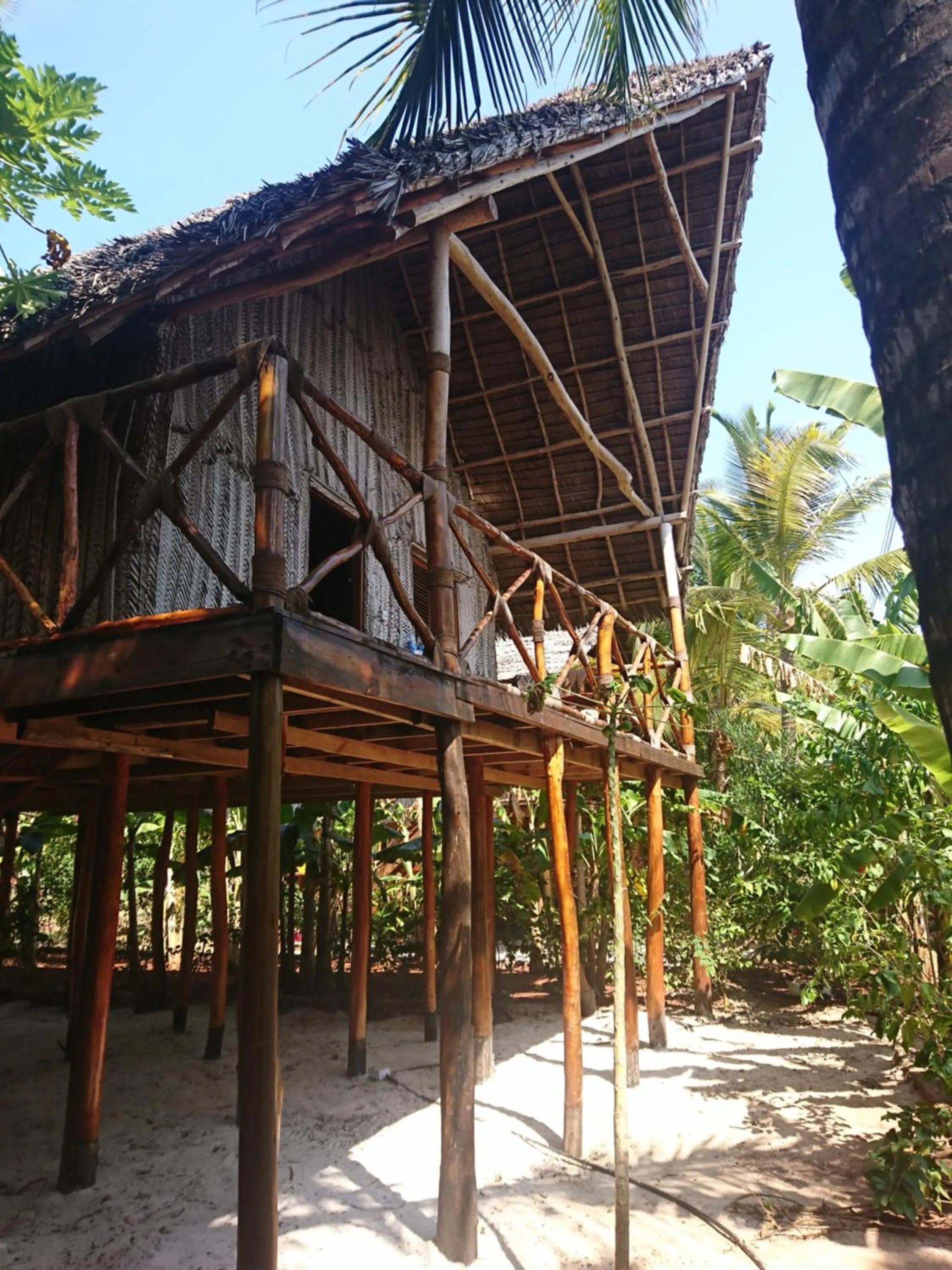 Garden view in COCO REEF ECOLODGE
