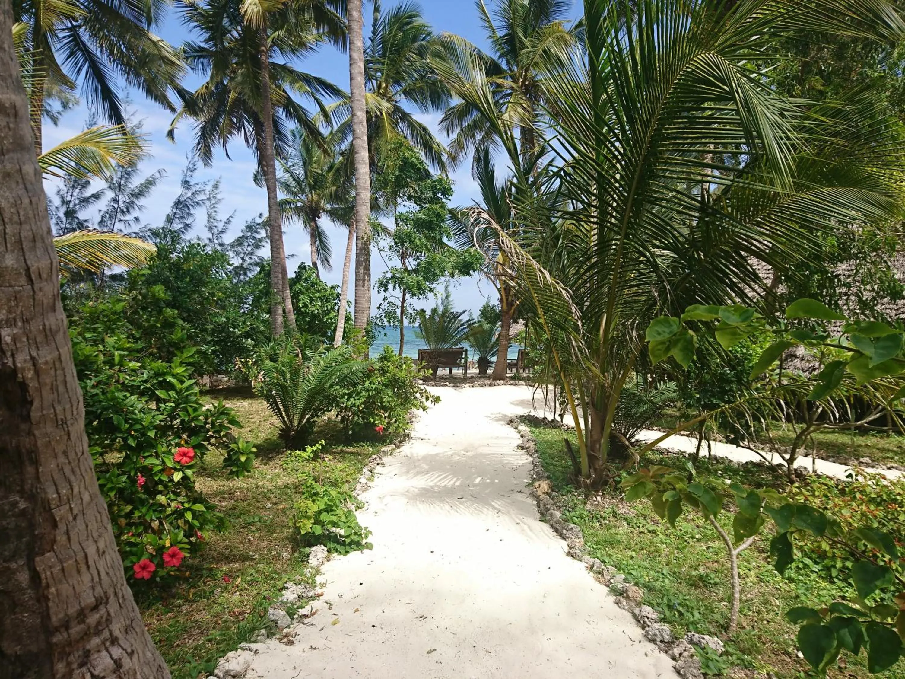 Garden in COCO REEF ECOLODGE