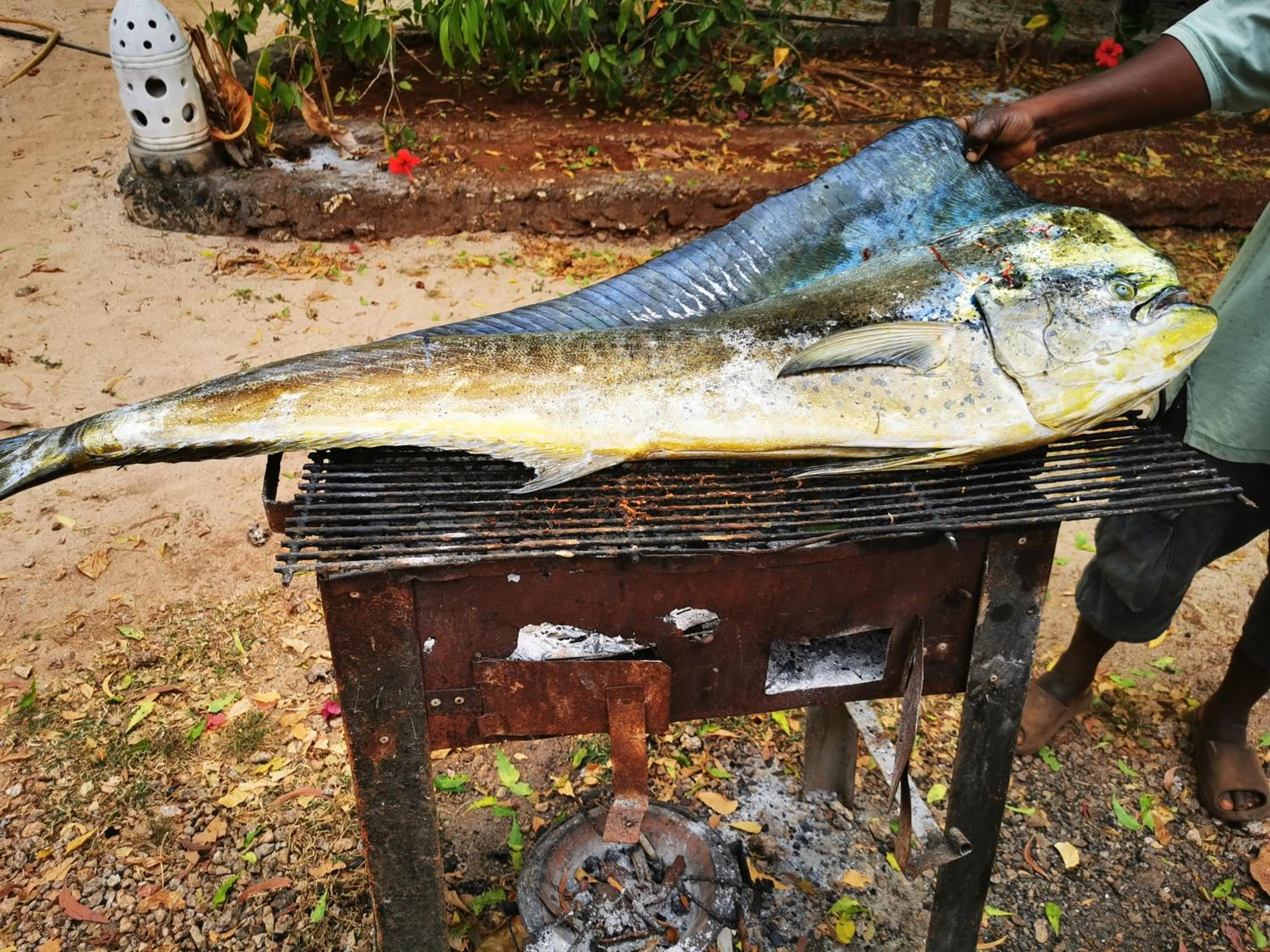 COCO REEF ECOLODGE