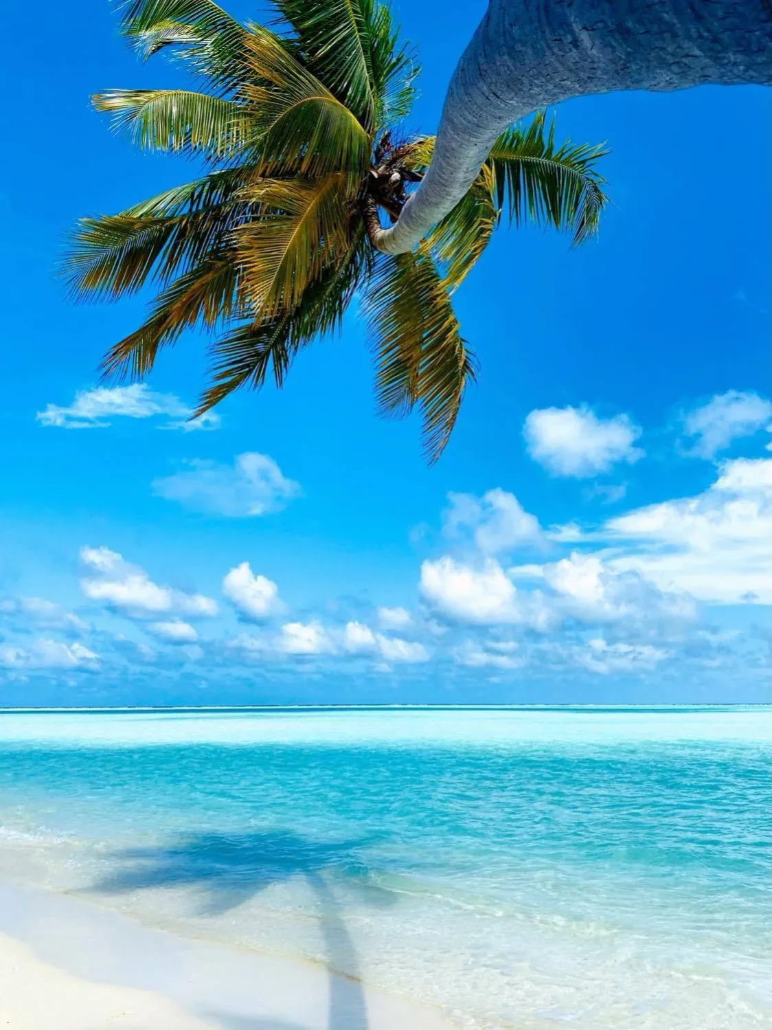 Natural landscape in Wow Inn Keyodhoo