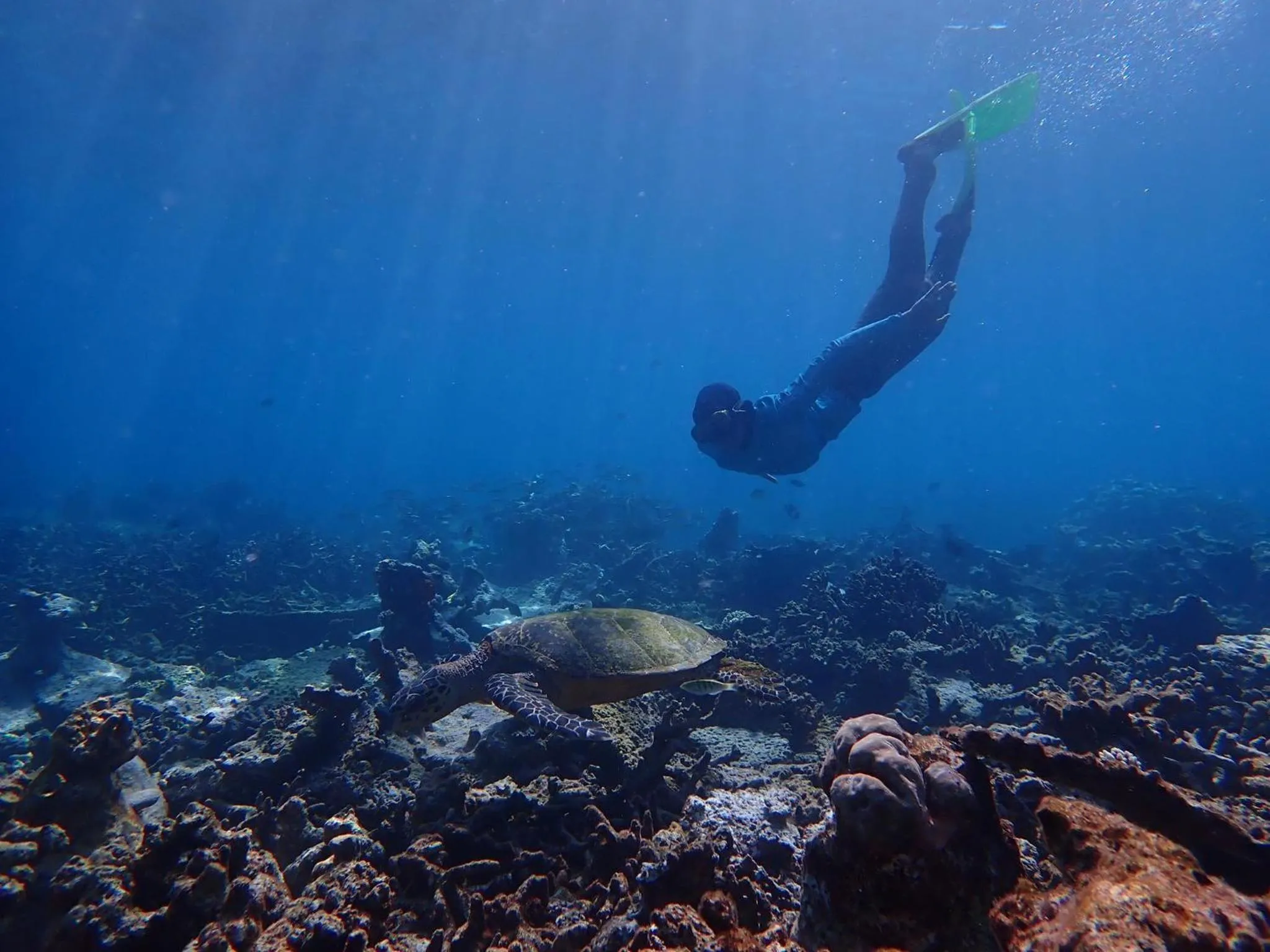 Snorkeling in Wow Inn Keyodhoo