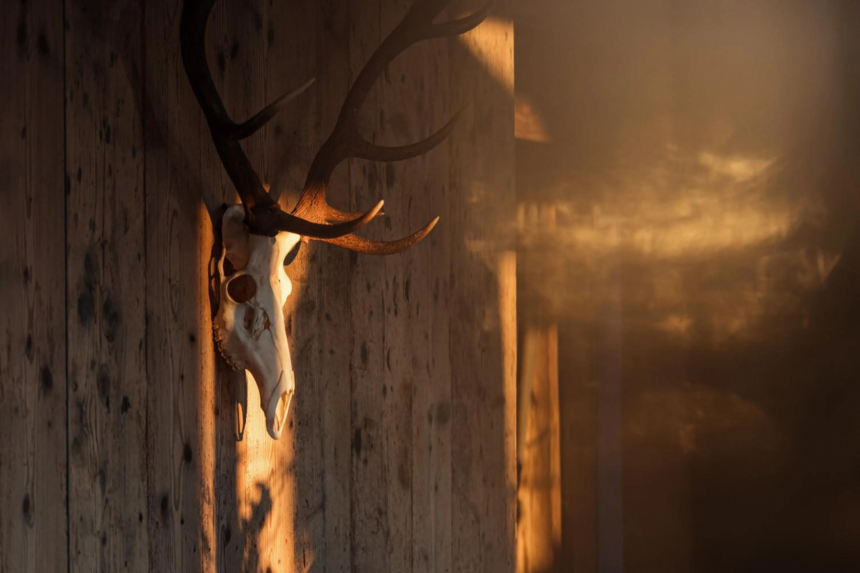 Restaurant/places to eat in Hotel UTO KULM car-free hideaway in Zurich