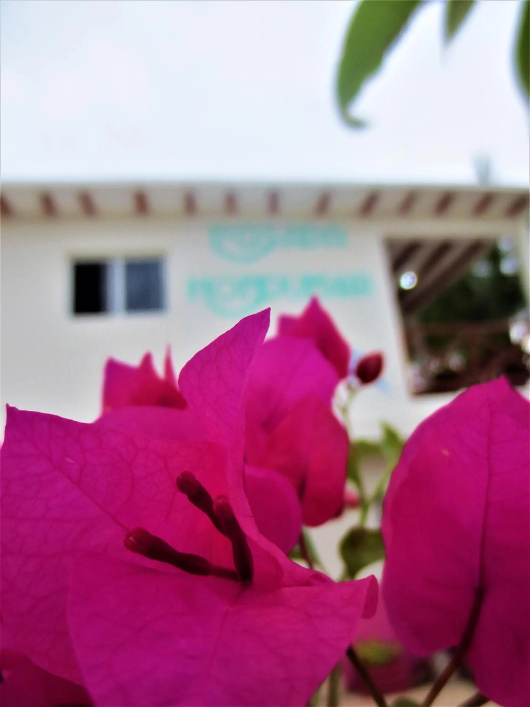 Property building in Posada Hondumar Holbox