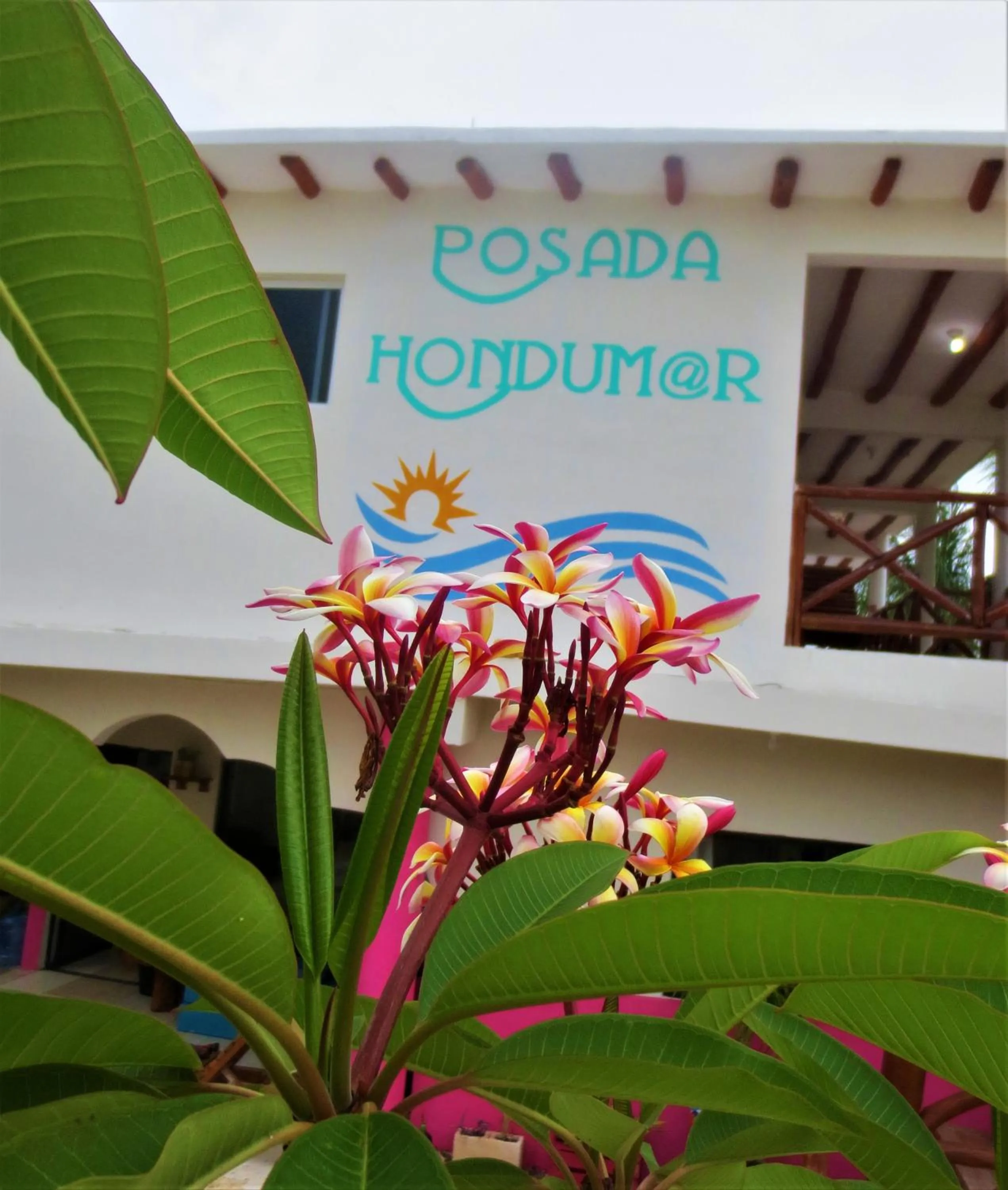 Property logo or sign in Posada Hondumar Holbox