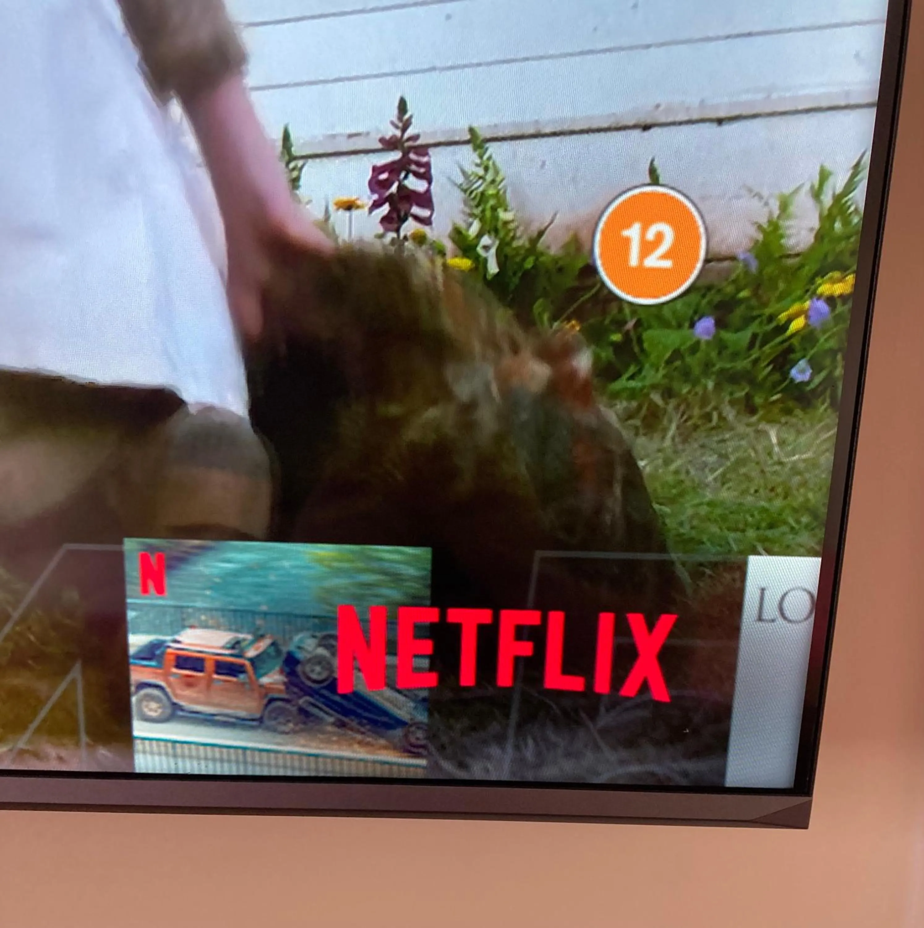 TV and multimedia in Ellies Guest House