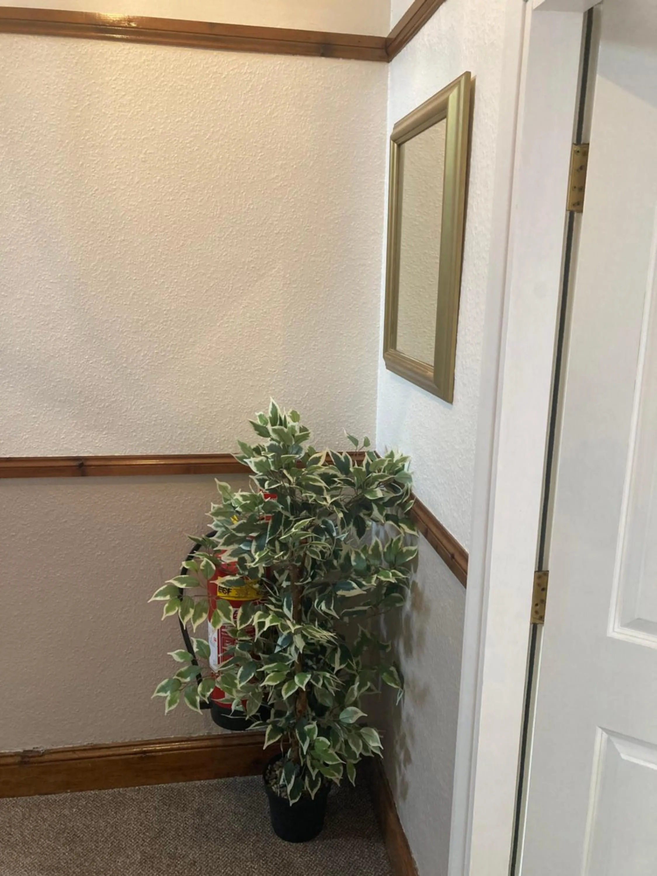 Property building in Ellies Guest House