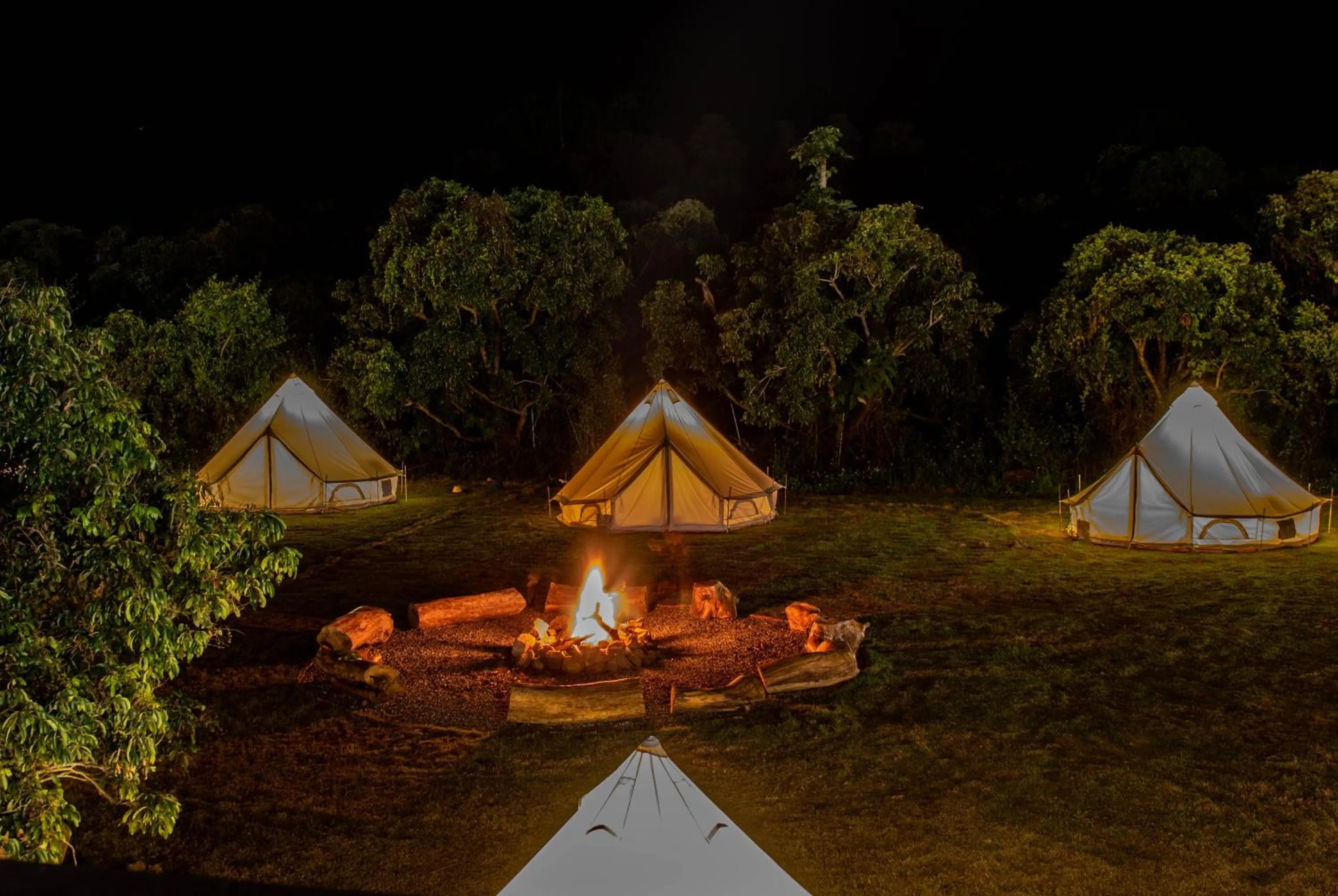 Night in ไร่บำรุงผล Raibumrungphol