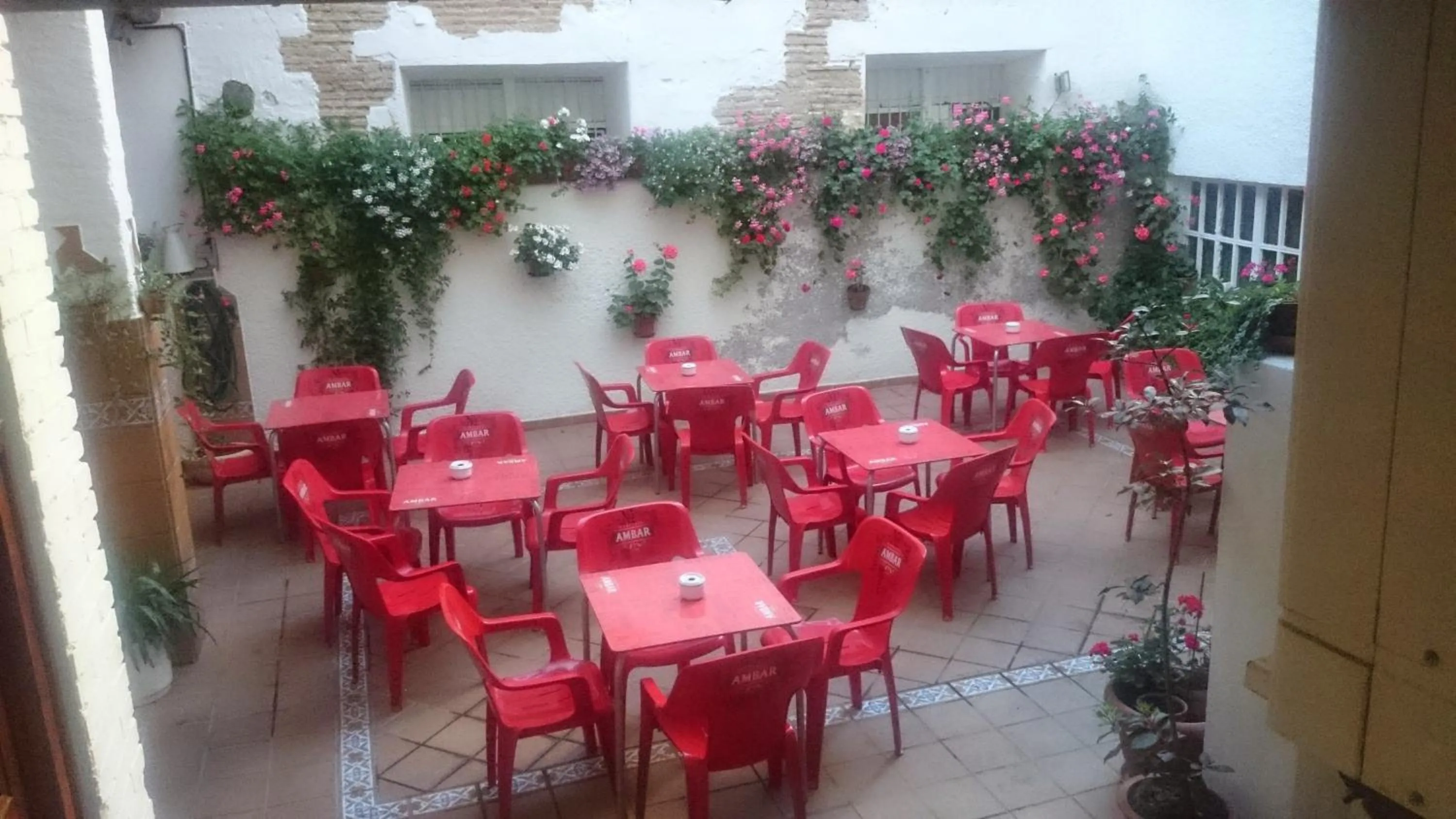 Patio in Hostal El Centro