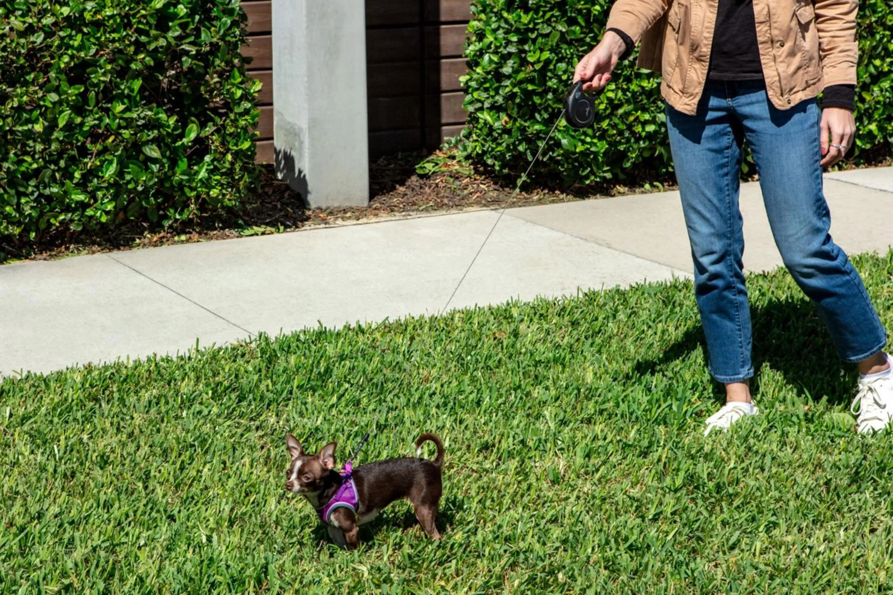 Other in Aloft Orlando International Drive by Marriott