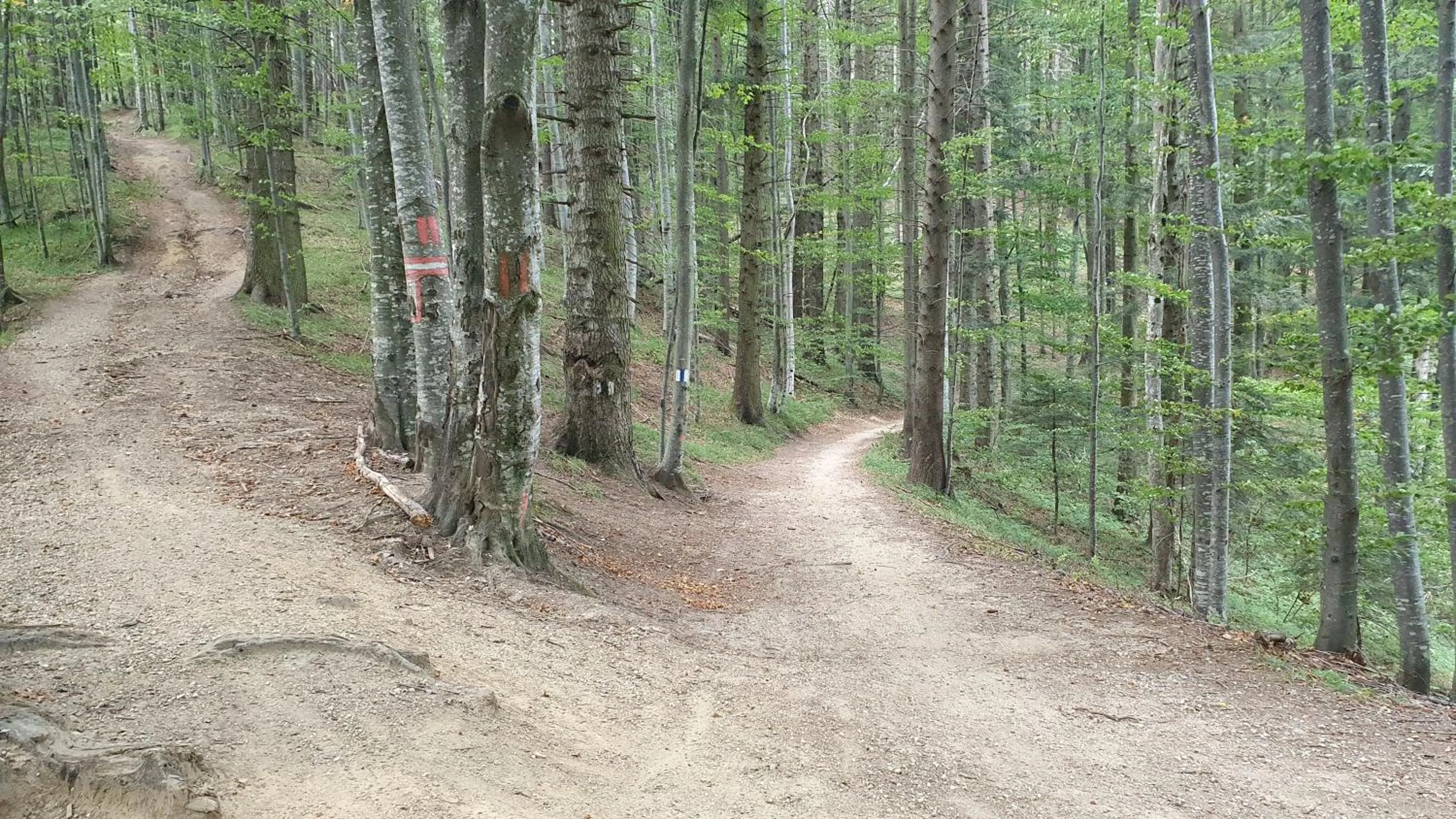 Apartament 2706 Alpin Resort, etaj 7, Poiana Brașov