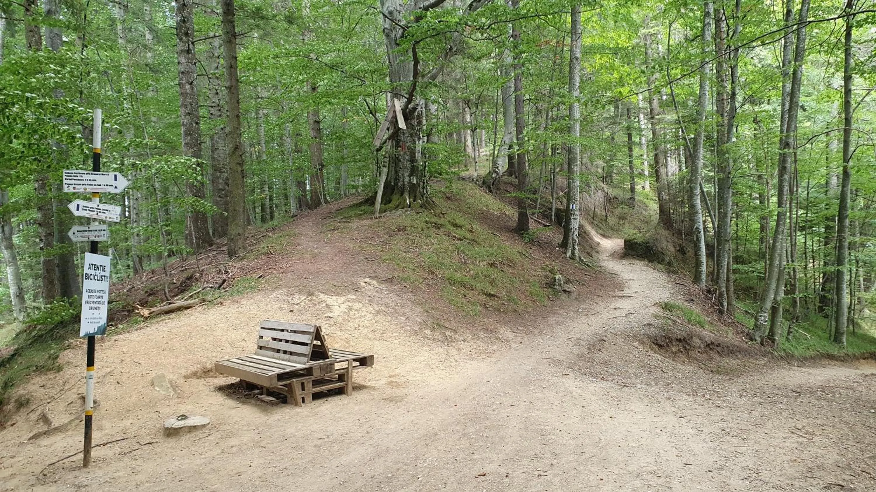 Apartament 2706 Alpin Resort, etaj 7, Poiana Brașov