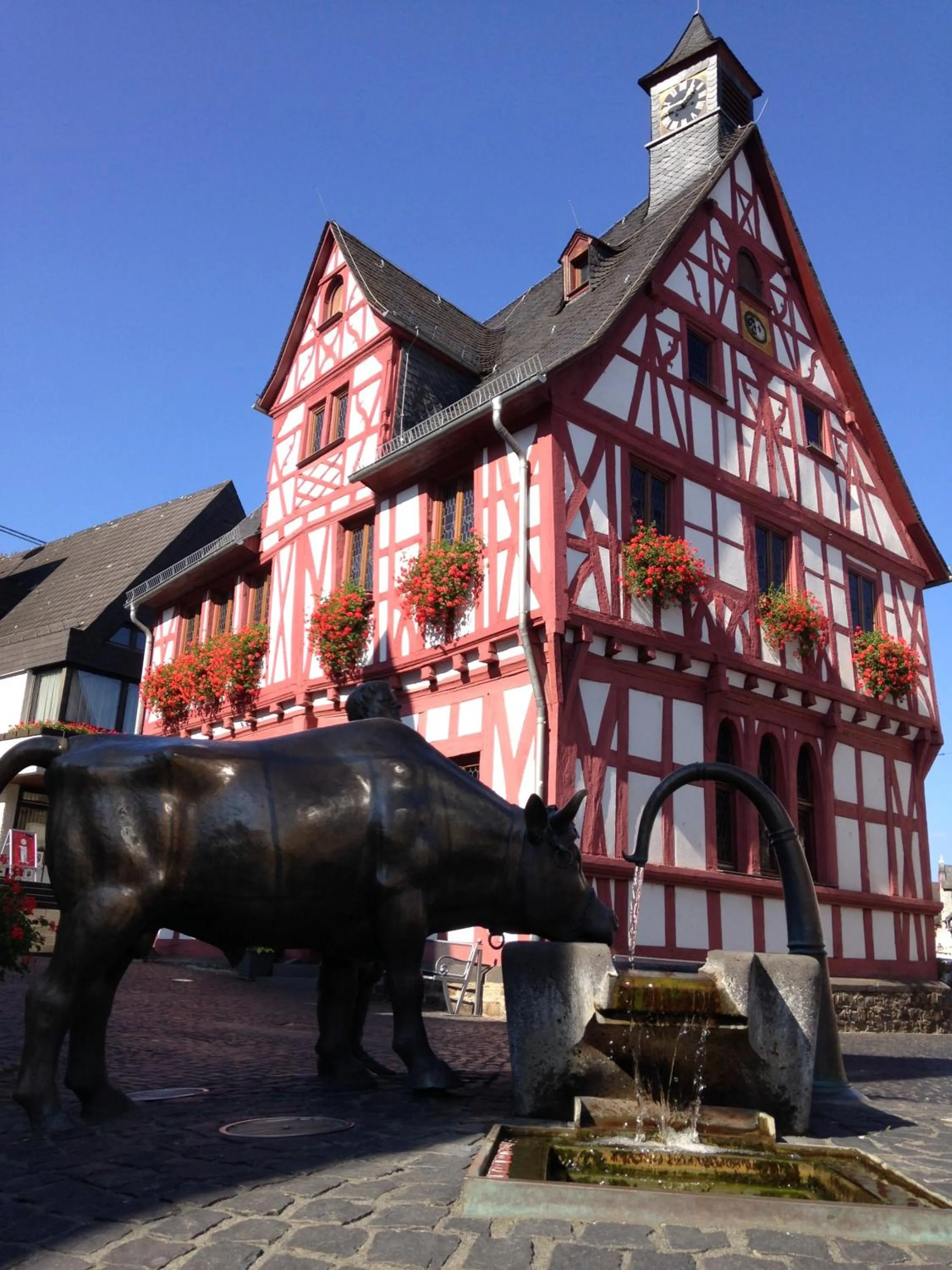Nearby landmark in AKZENT Hotel Restaurant Roter Ochse Rhens bei Koblenz